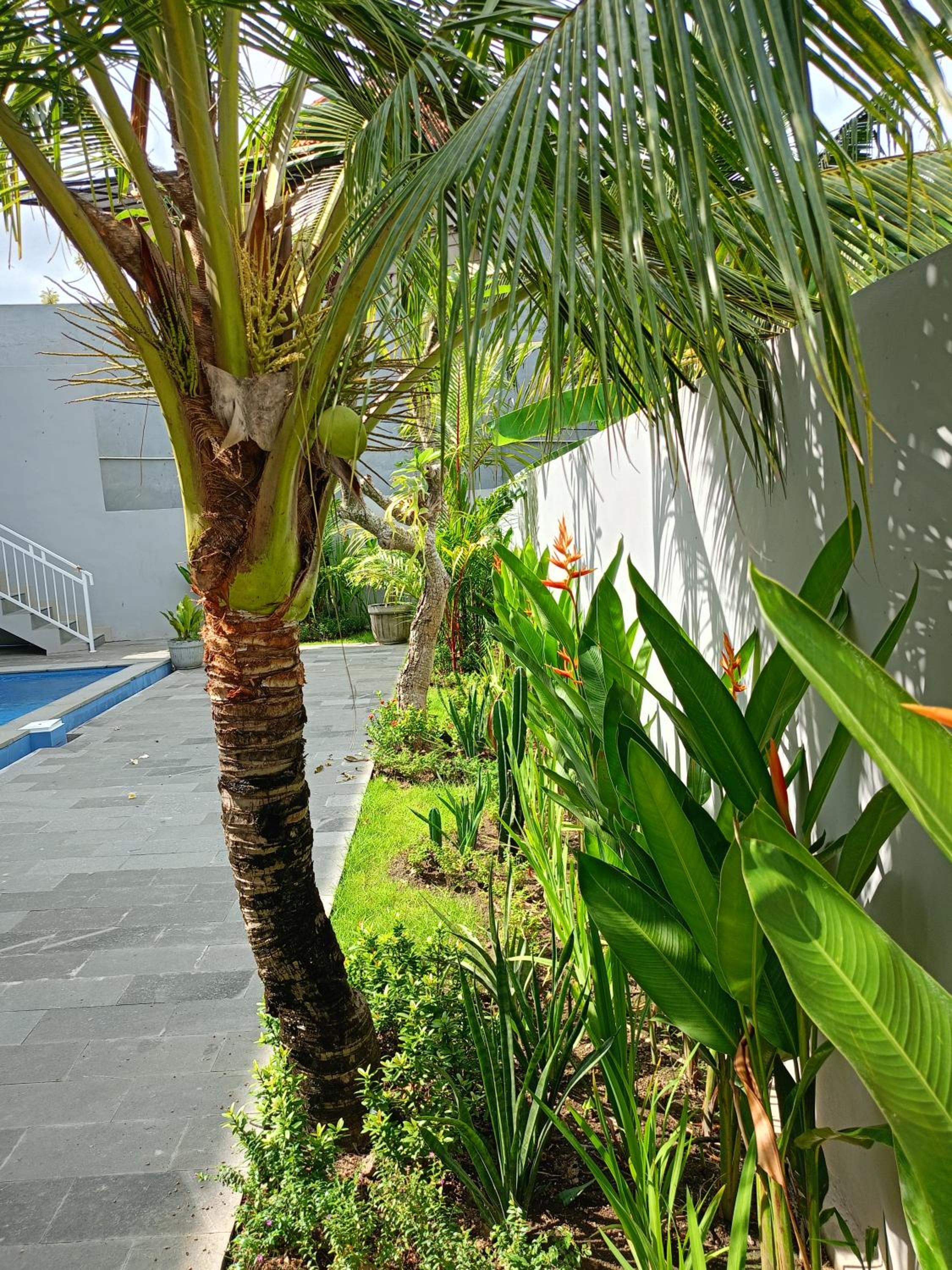 Pulmo Residen Canggu
