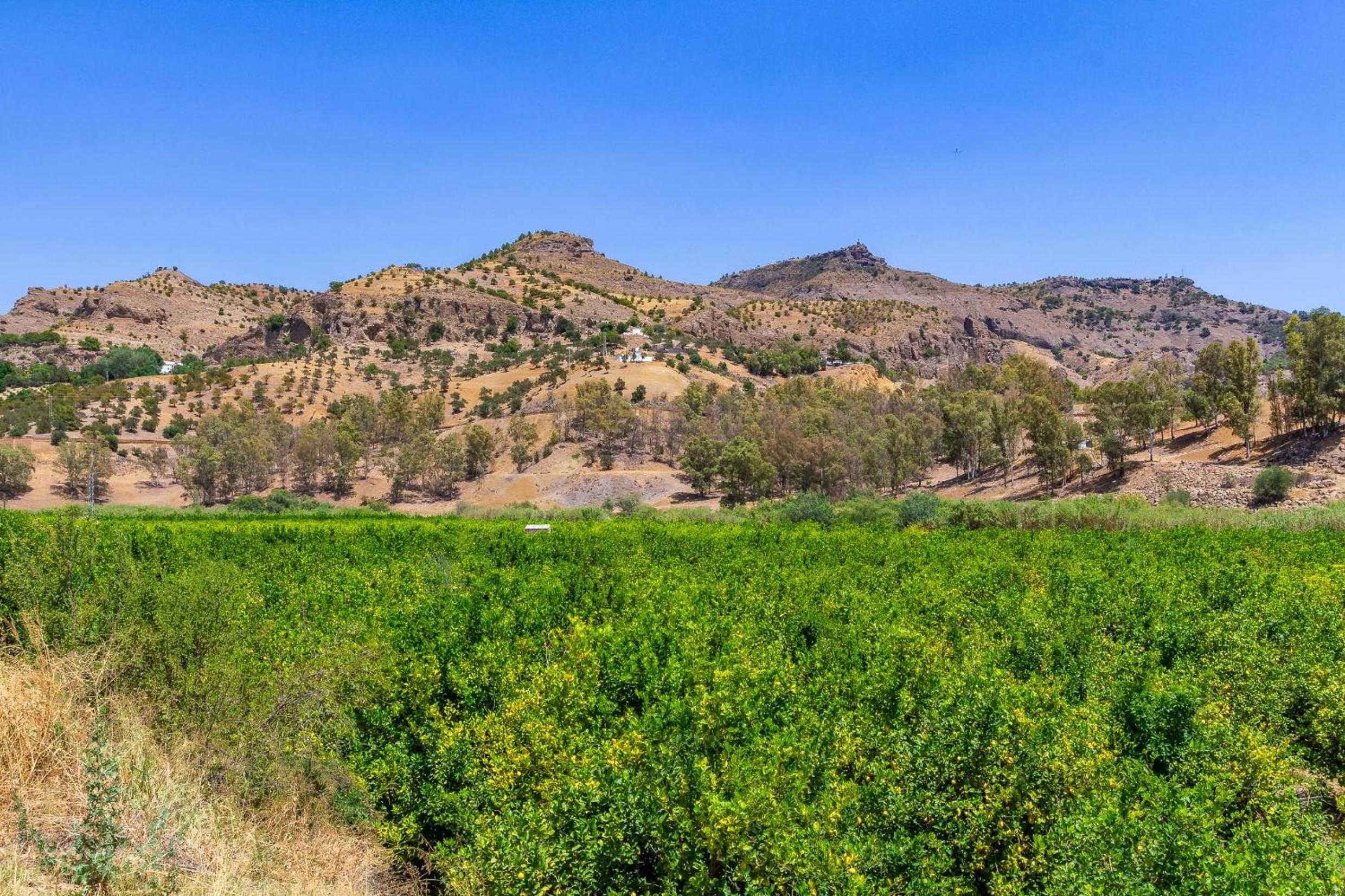 Casa rural El Puente