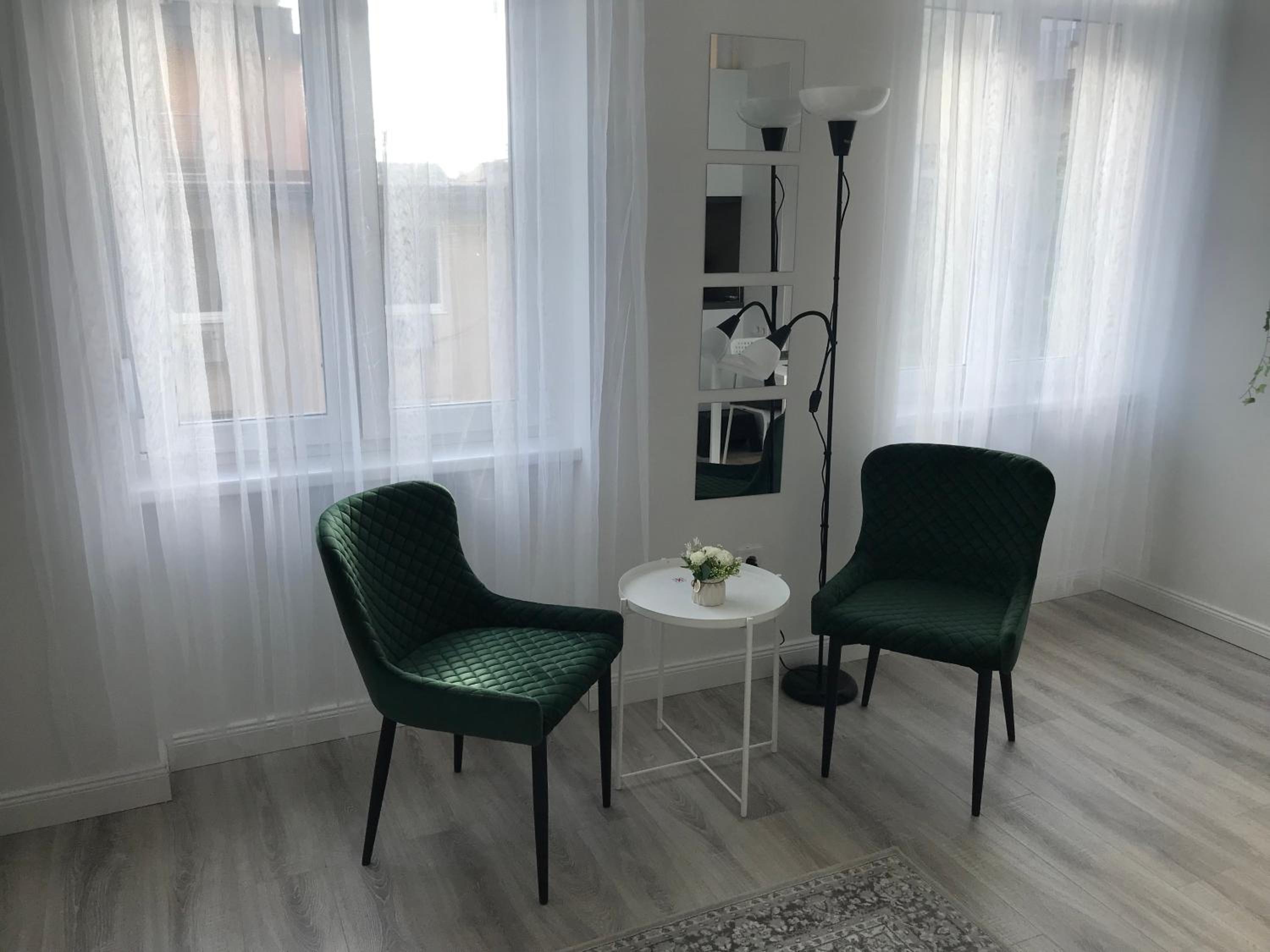 Beautiful newly refurbished studio,fully equipped apartment walking distance to the Puskás Aréna, Park where you will find the world famous Szechenyi therm view 4