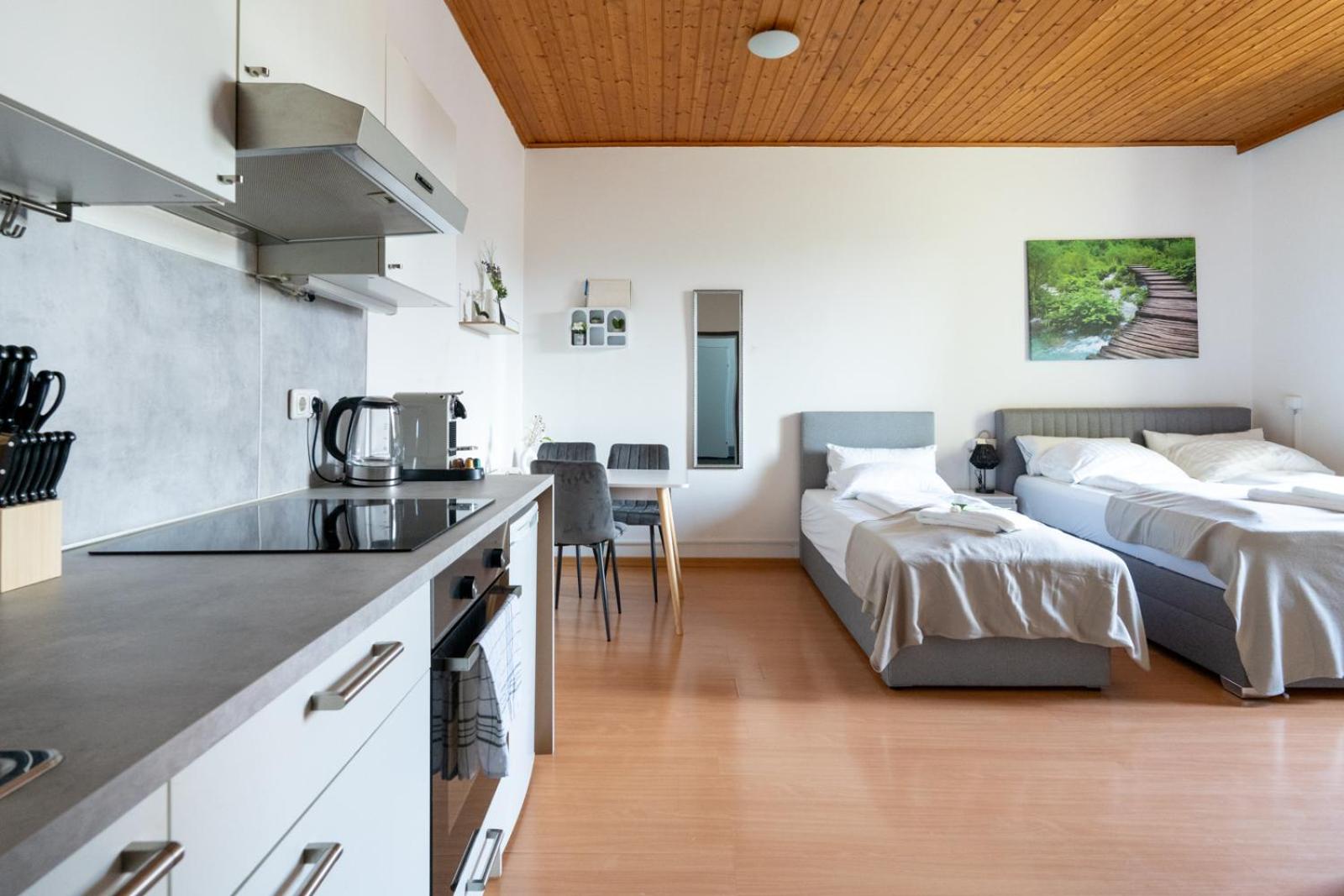 Universitätsnahes Apartment für 3 Gäste in Leoben