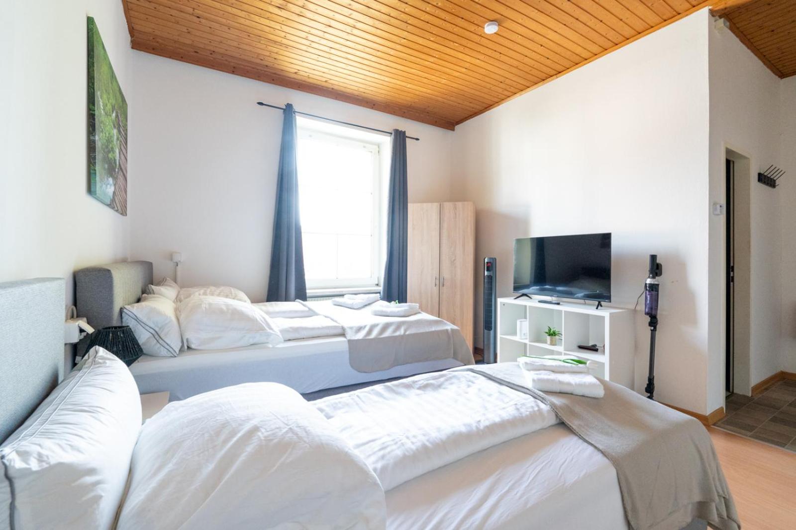 Universitätsnahes Apartment für 3 Gäste in Leoben