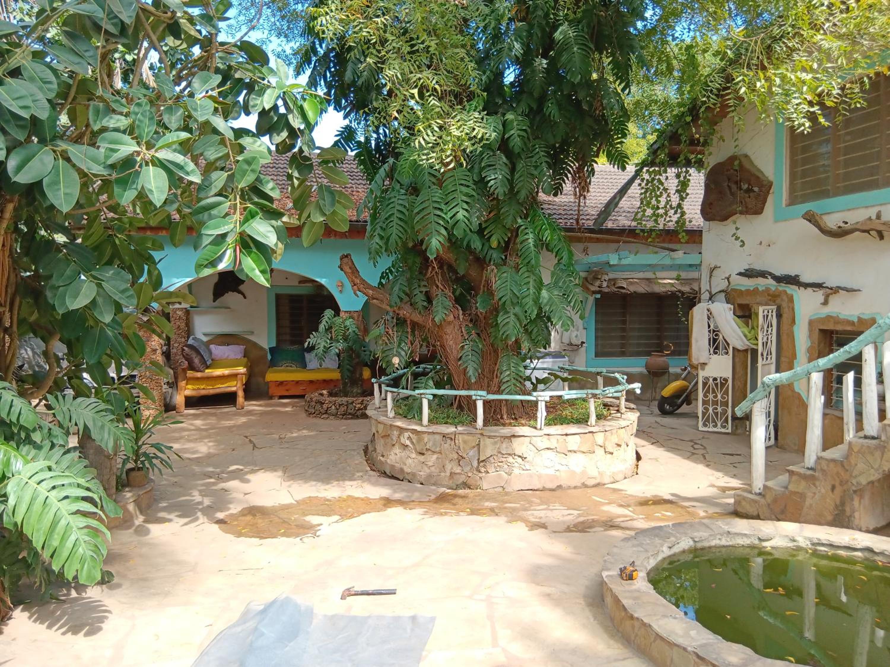 Photo 20