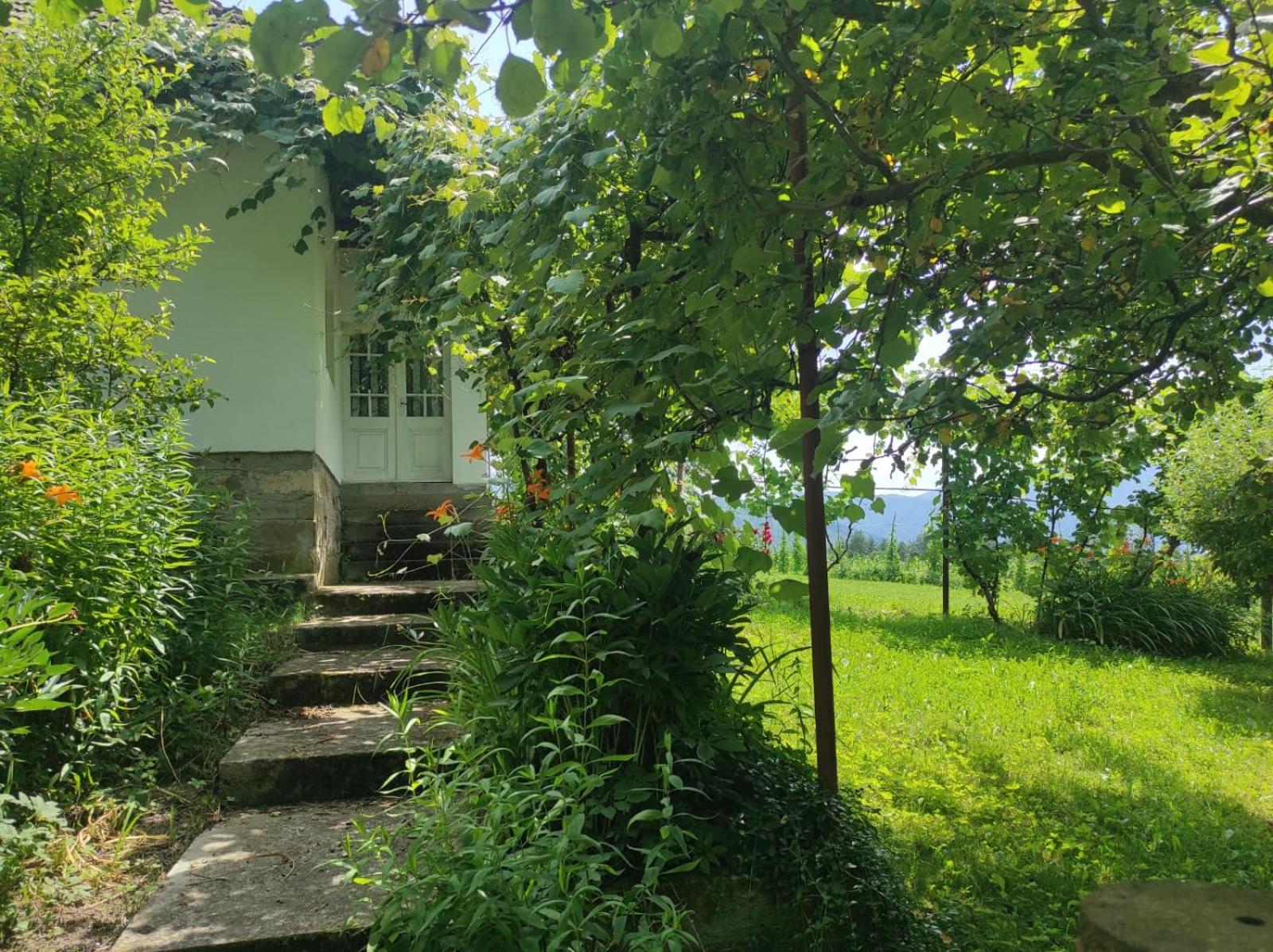 Photo 16