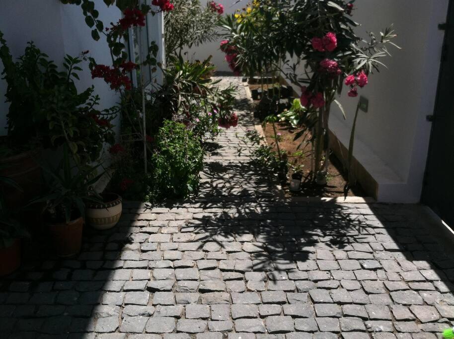 Beautiful Seafront Villa-Mindelo