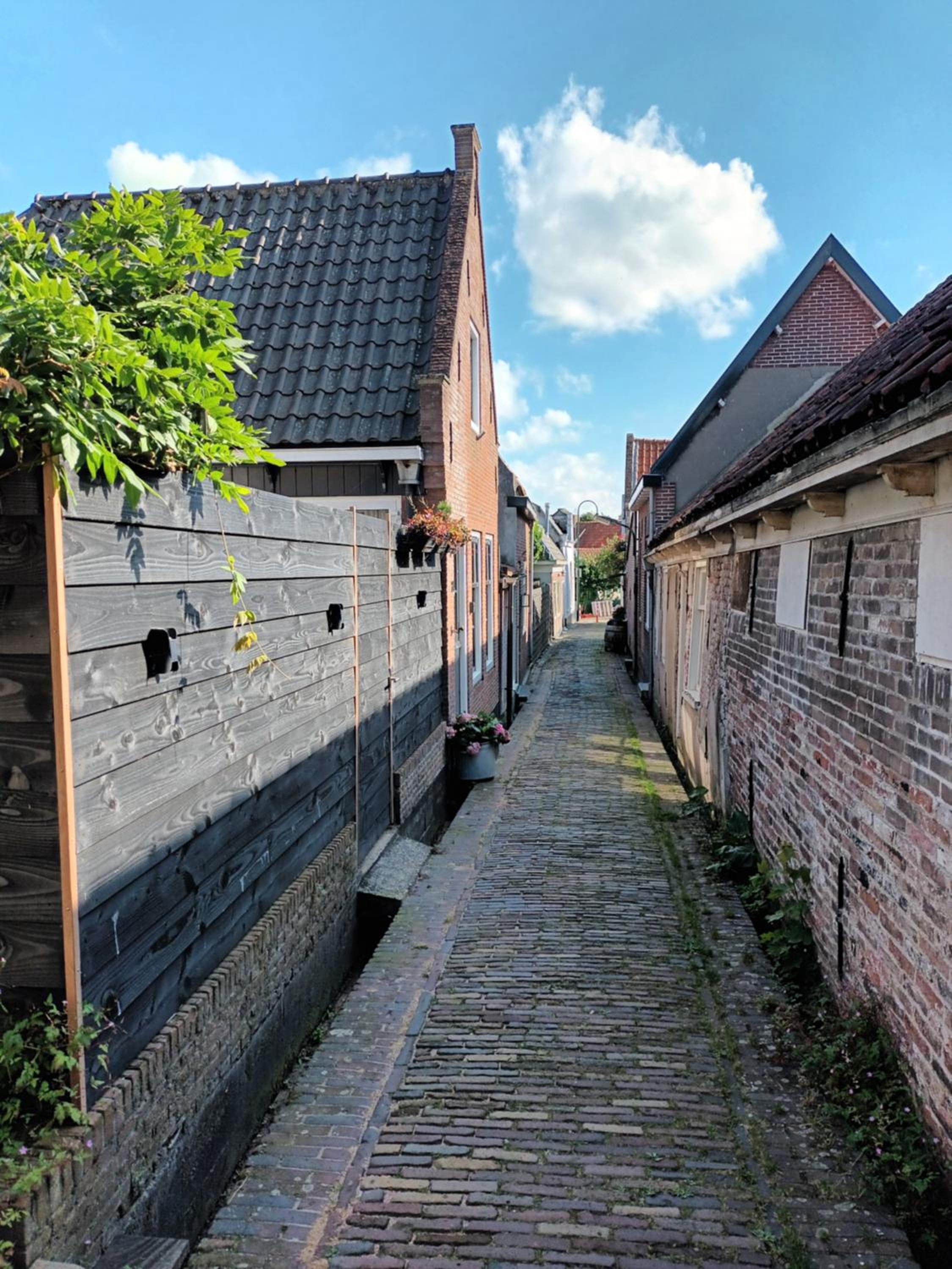 De troeter