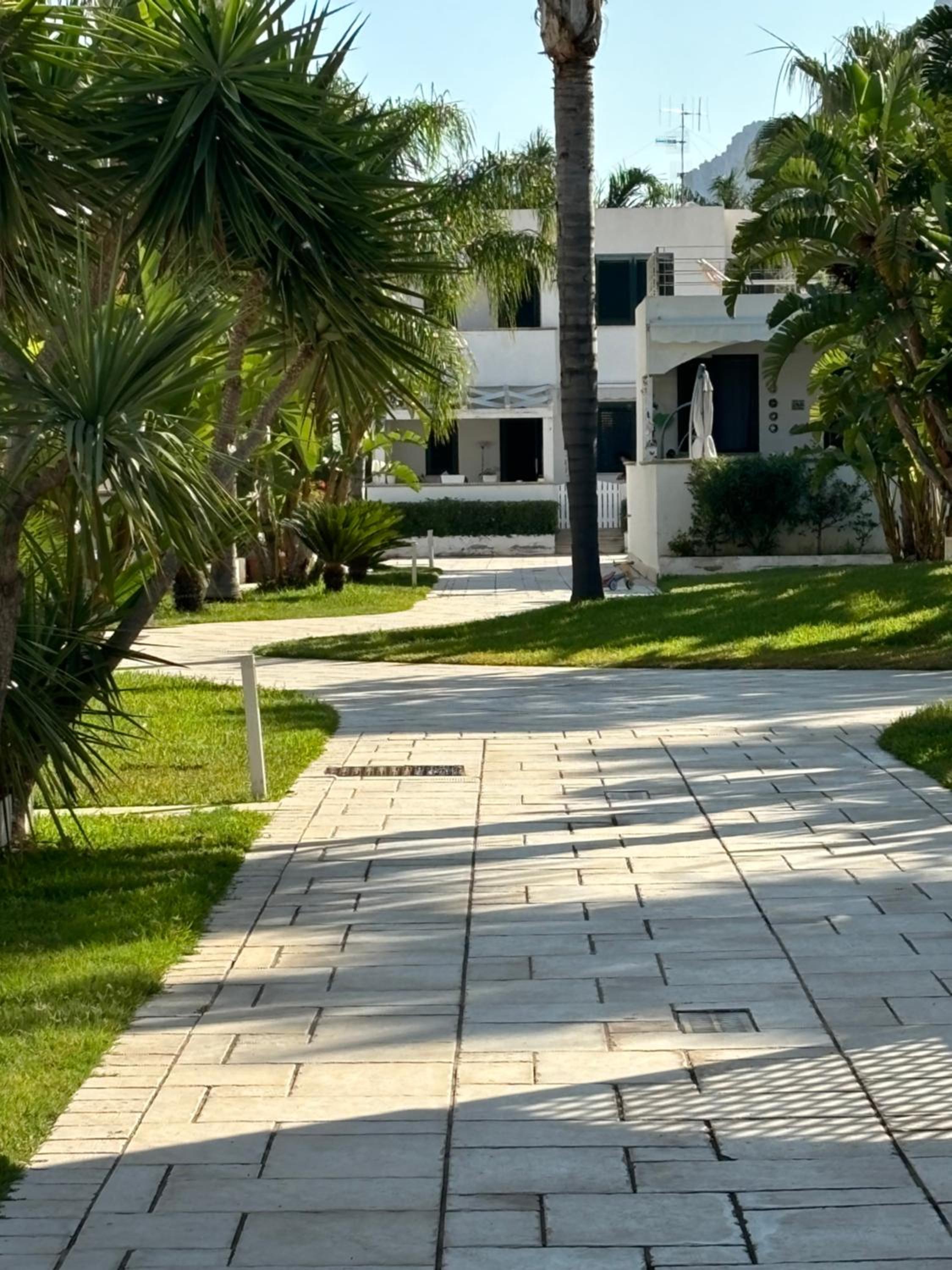 Daniel's, photo 31