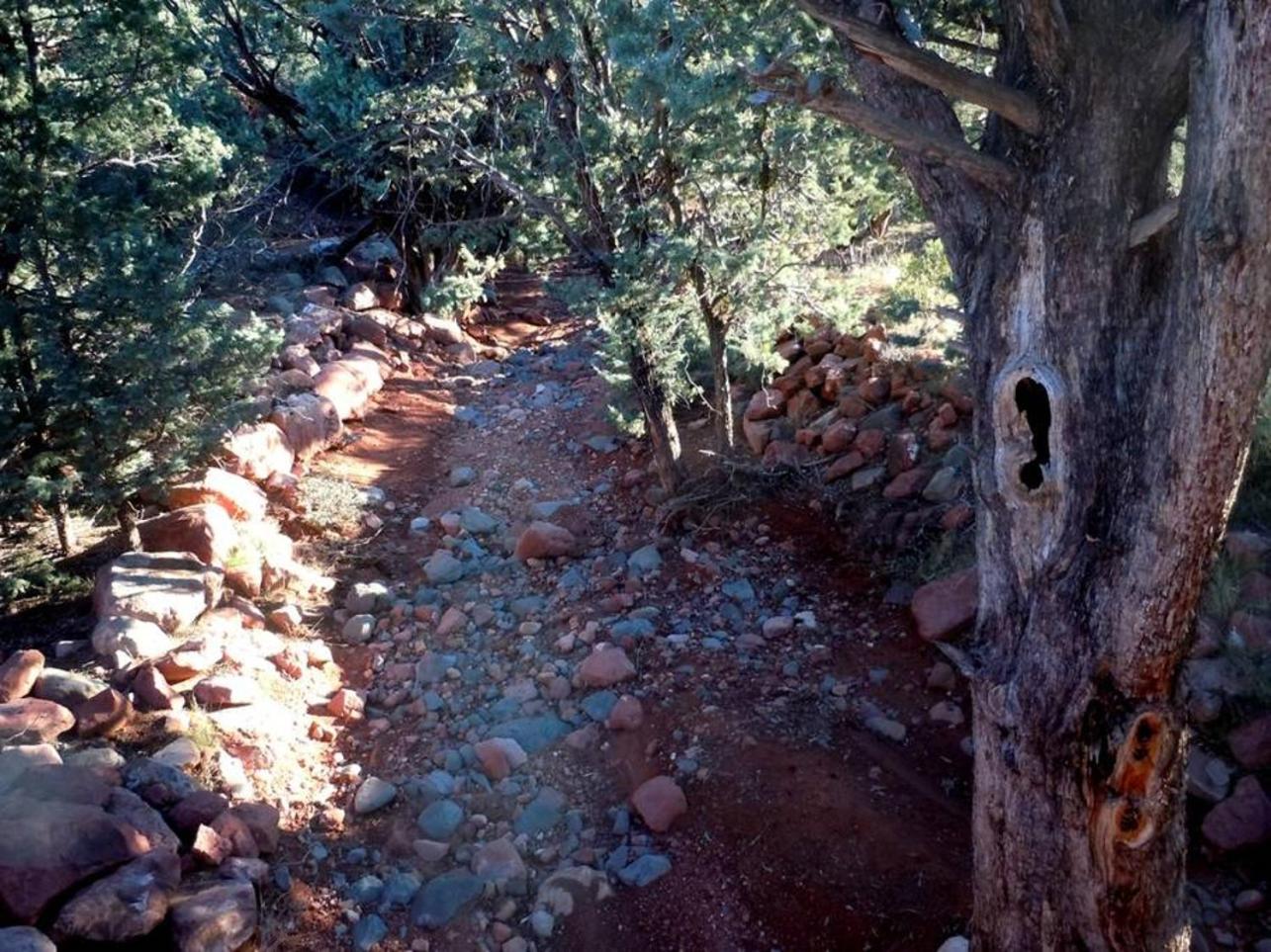 Sedona Forest Villa Land & Nature Lover's Private Paradise, 写真 44