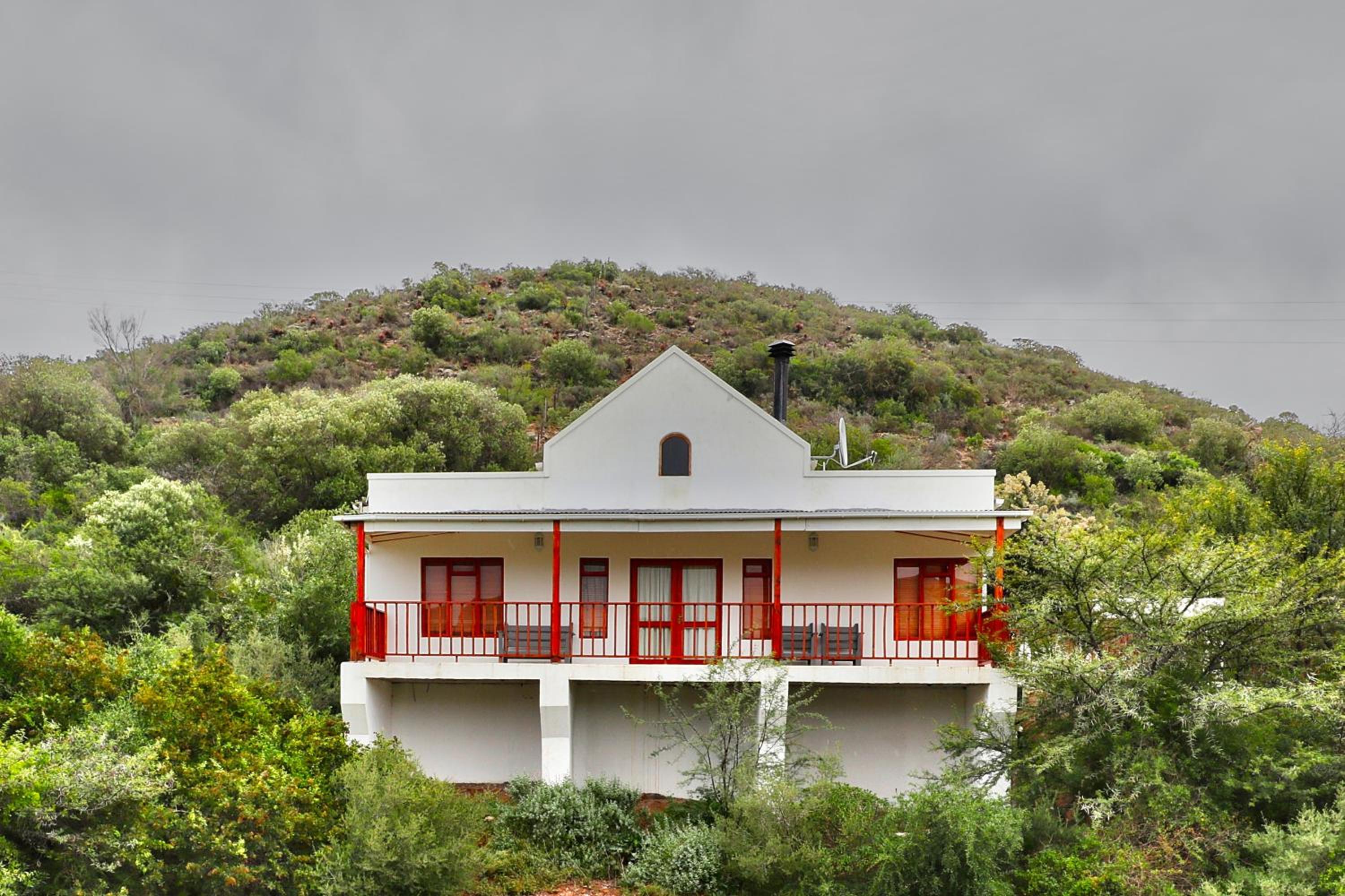 Orange Grove