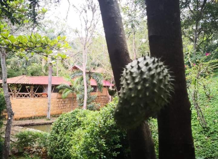 Ecoparque La Cañada