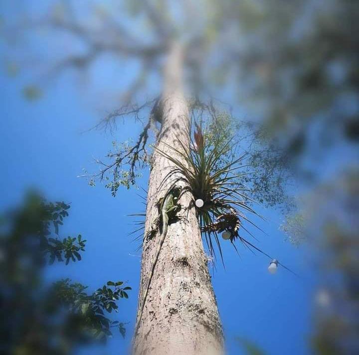 Ecoparque La Cañada