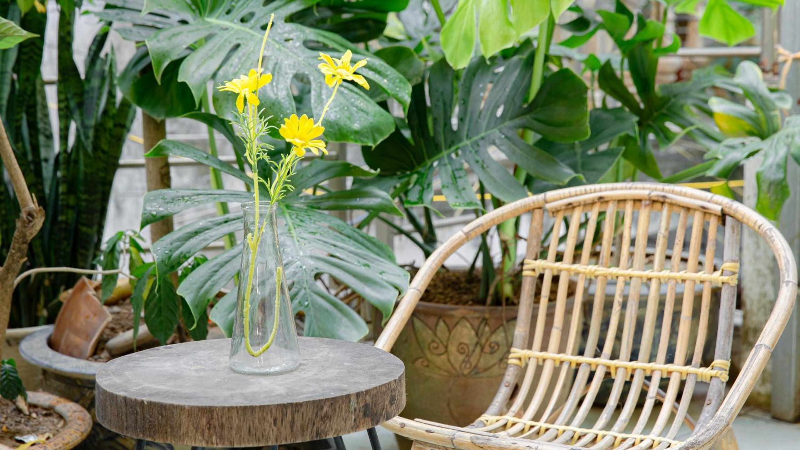 Sisan Homestay 294 Kim Mã Ban công thư giãn