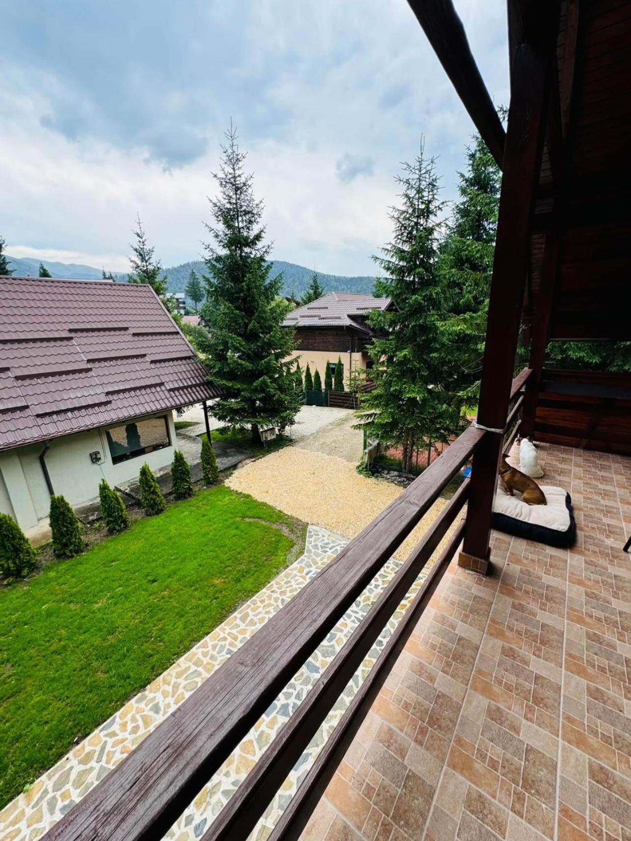 Ollie's Mountain Chalet