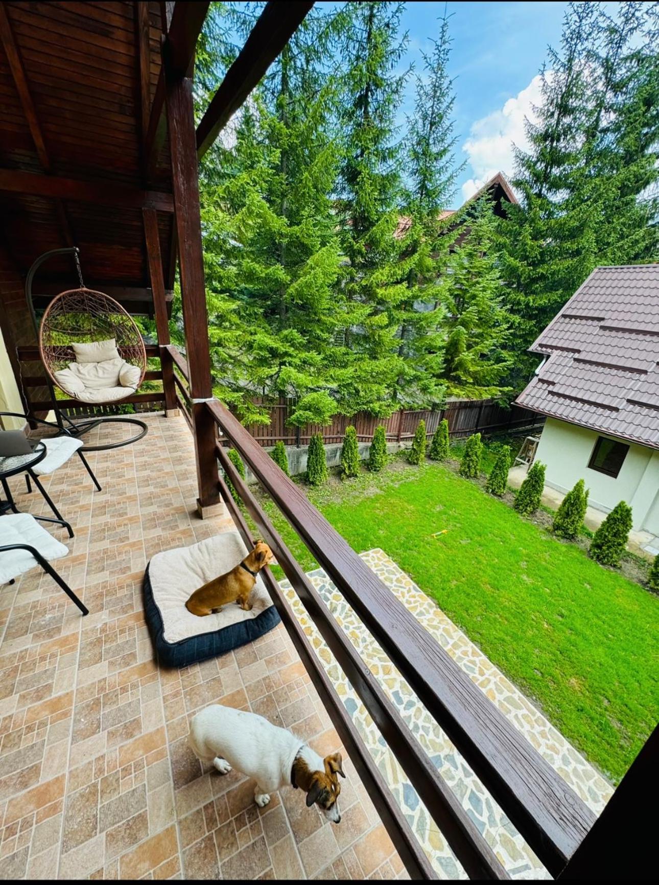 Ollie's Mountain Chalet