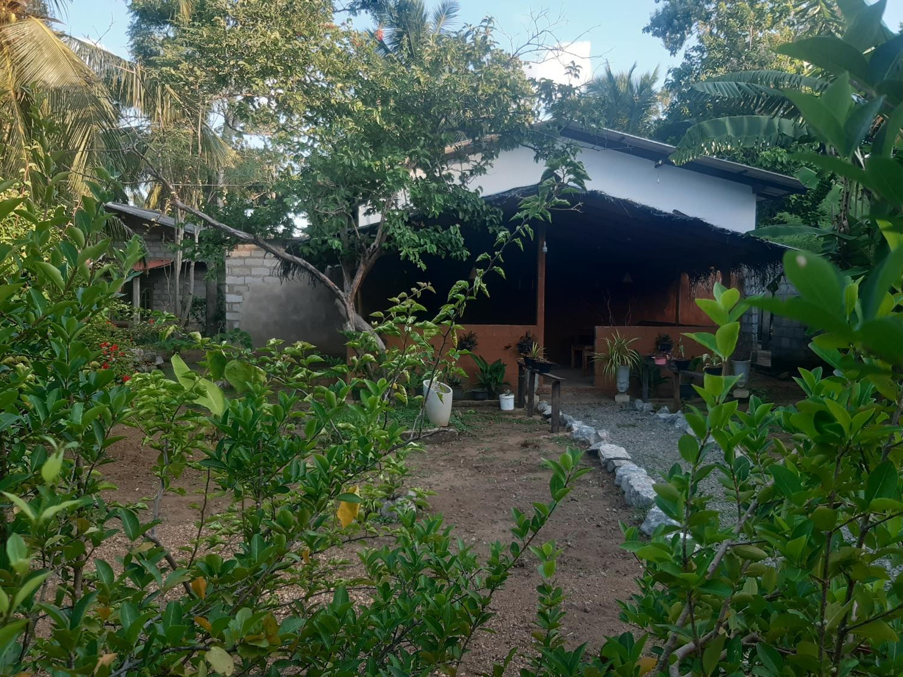Sigiriya Danu Homestay view 2