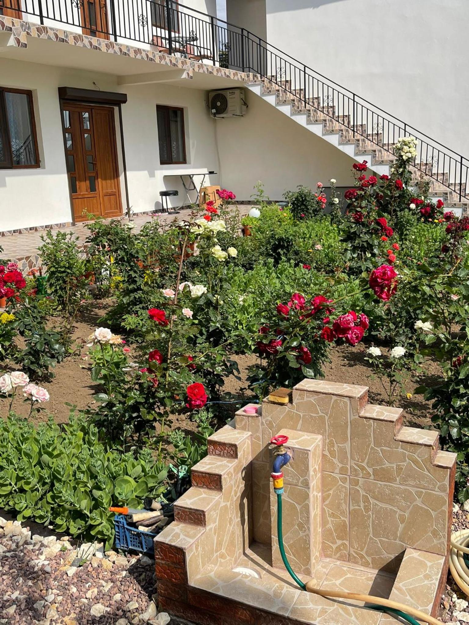 Casa Dizel