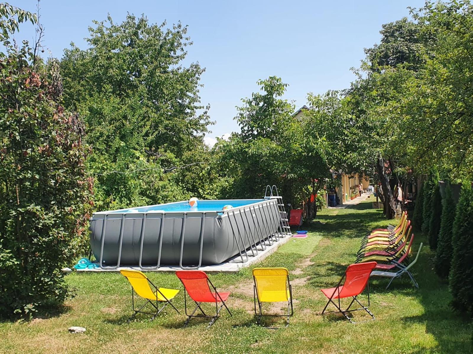 Pensiunea Leia Cârțișoara view 3
