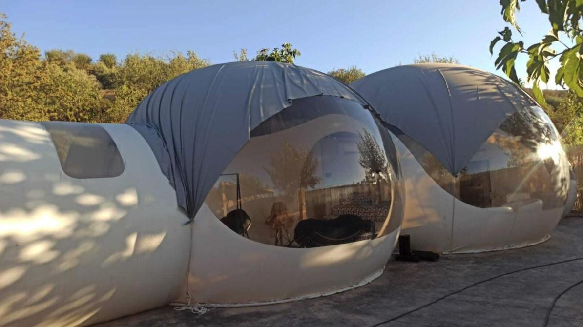 Fuente del Lobo Glamping & Bungalows - Adults Only