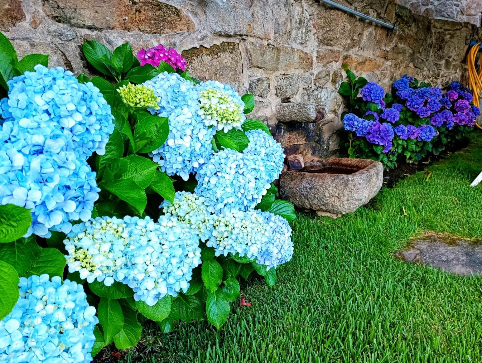 REMANSO AZUL