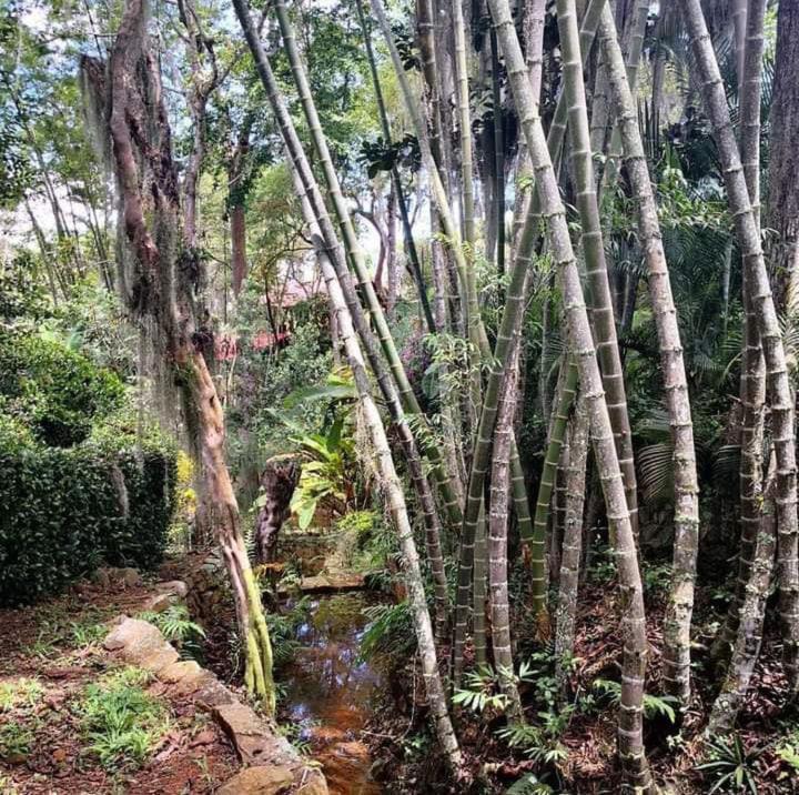 Ecoparque La Cañada