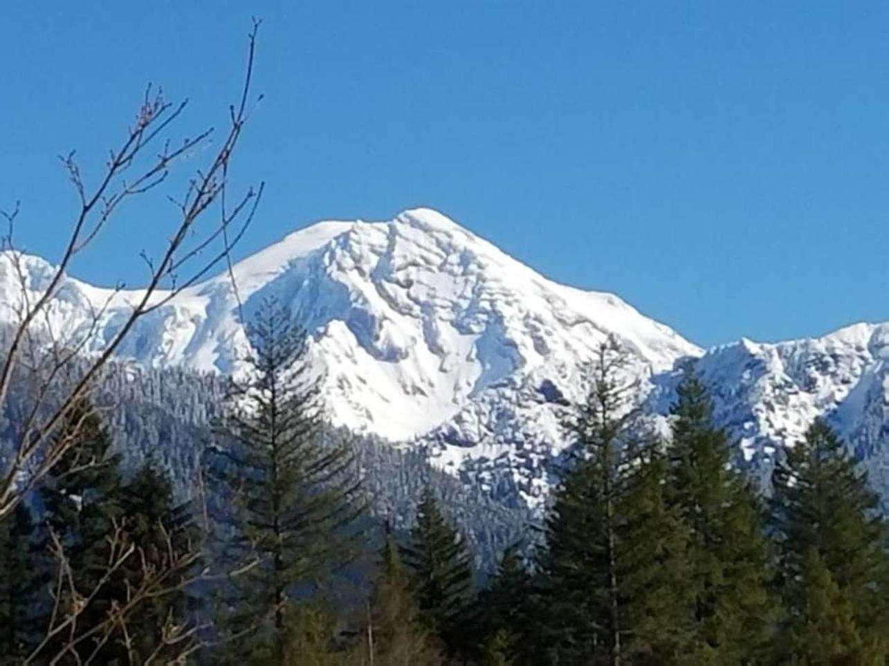 Photo 32