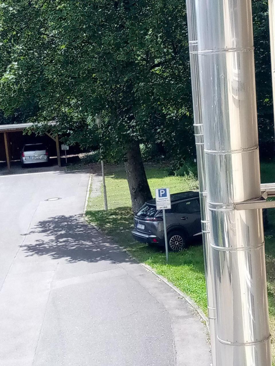 Forrest Apartments in Freiberg Min stay 2 nights Max Number of Guest 1 Aprt 1