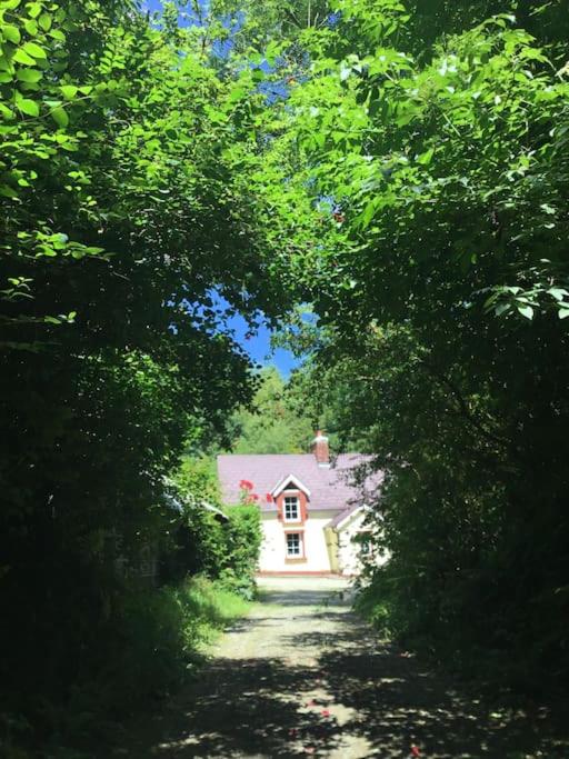 Alderlane cottage