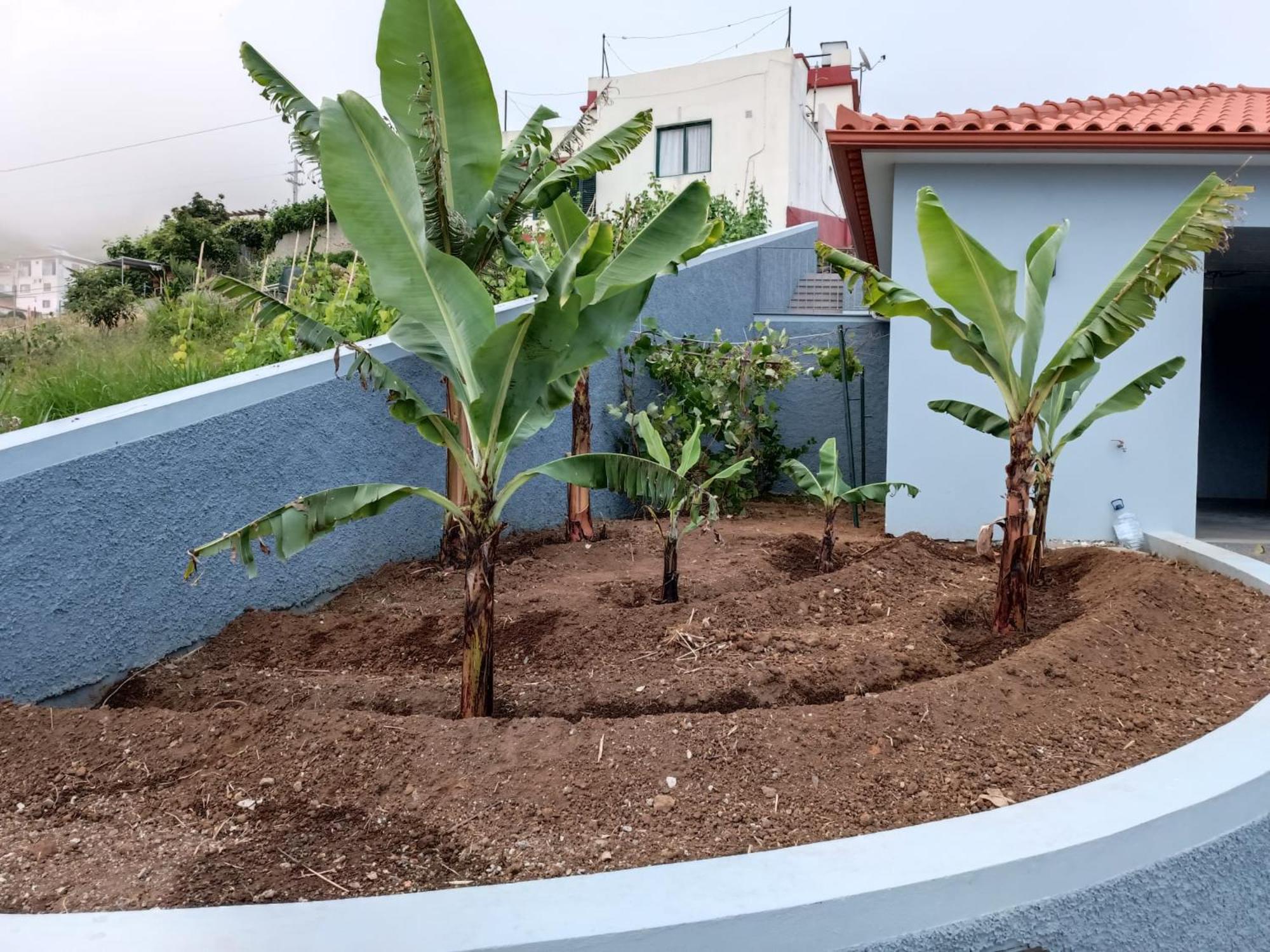 Calheta Paradise Holiday Home - Free Parking & Views