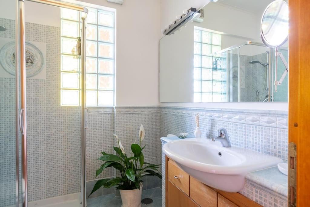 STRACULT HOUSE Suggestive and Vintage-pop Apartment