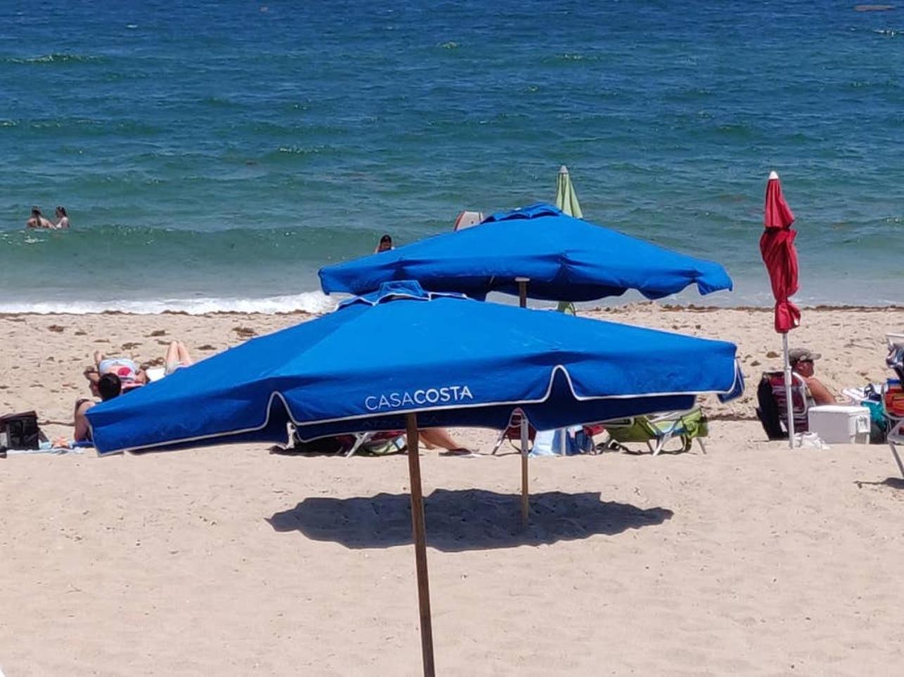 Amazing one-bedroom in Casa Costa!BEACH PASS INC! view 5