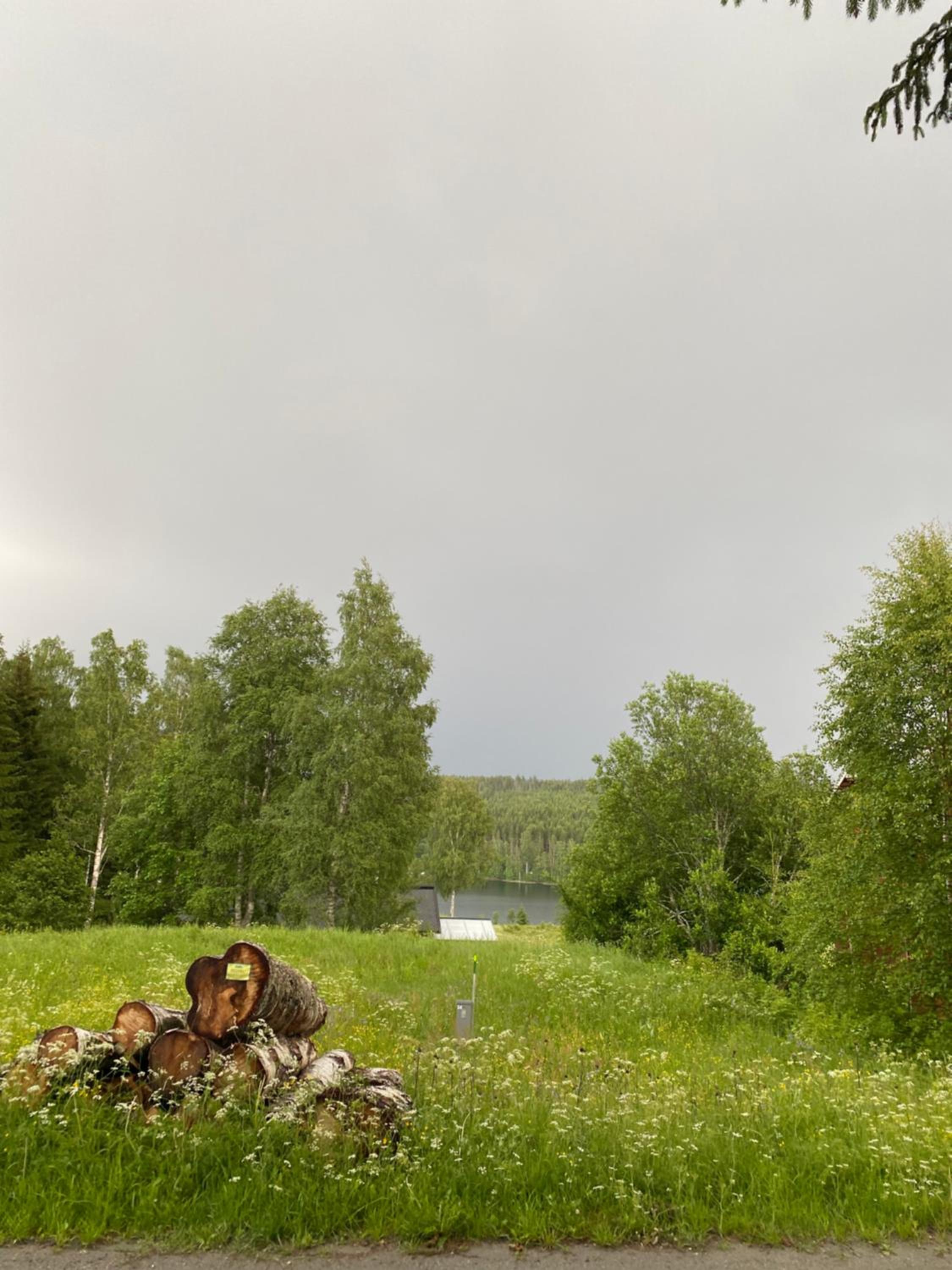 Photo 37