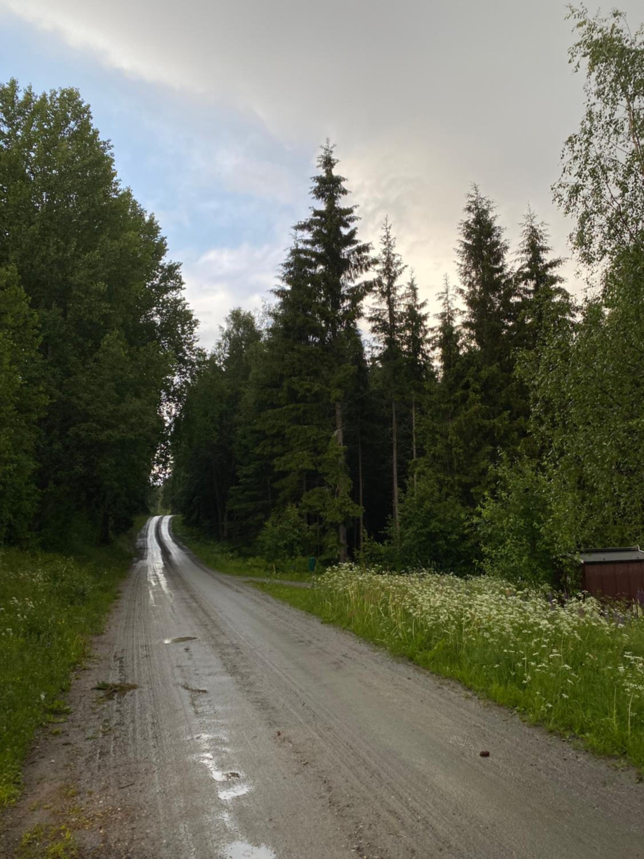 Photo 38