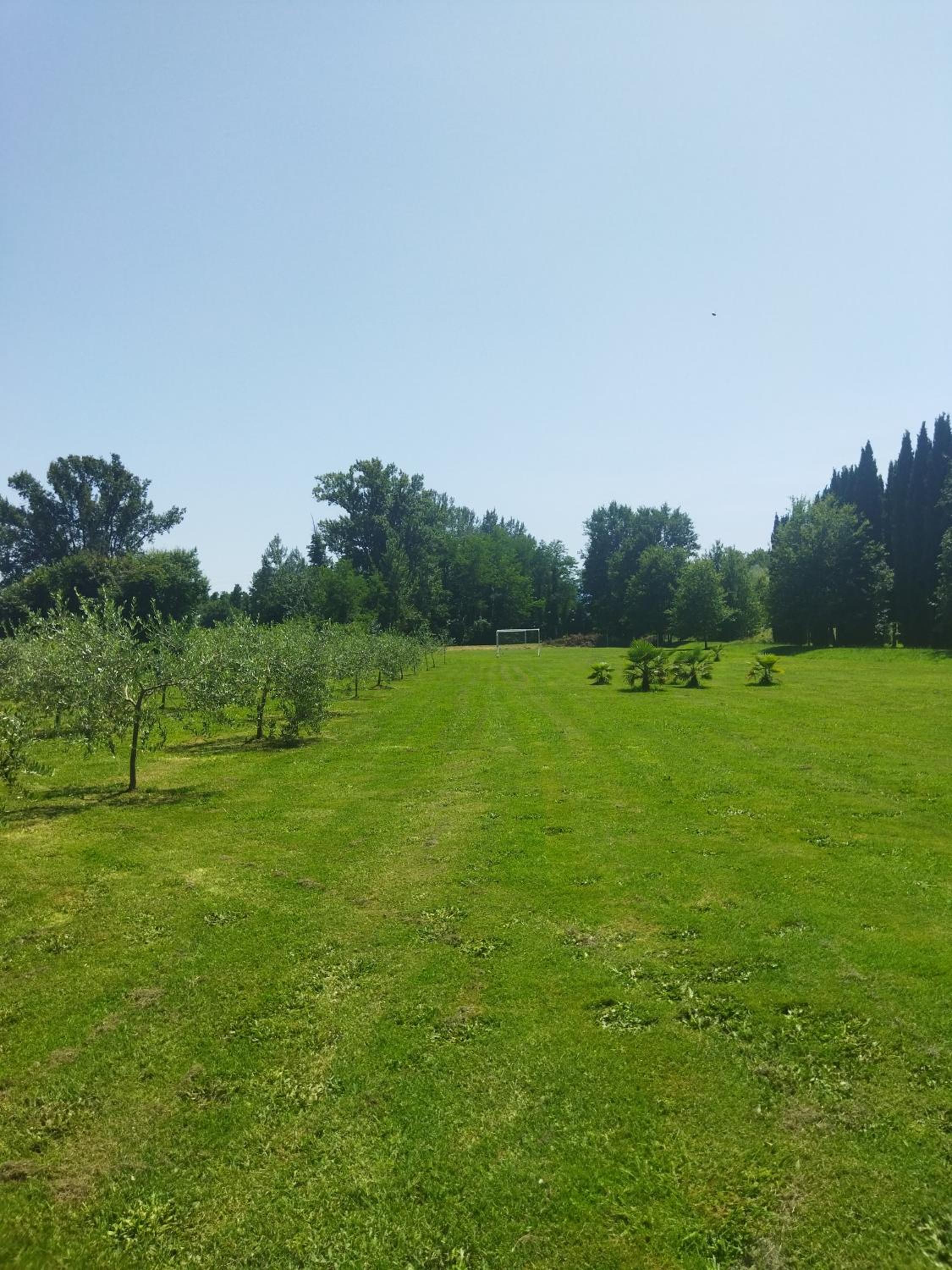 Villa Fontana