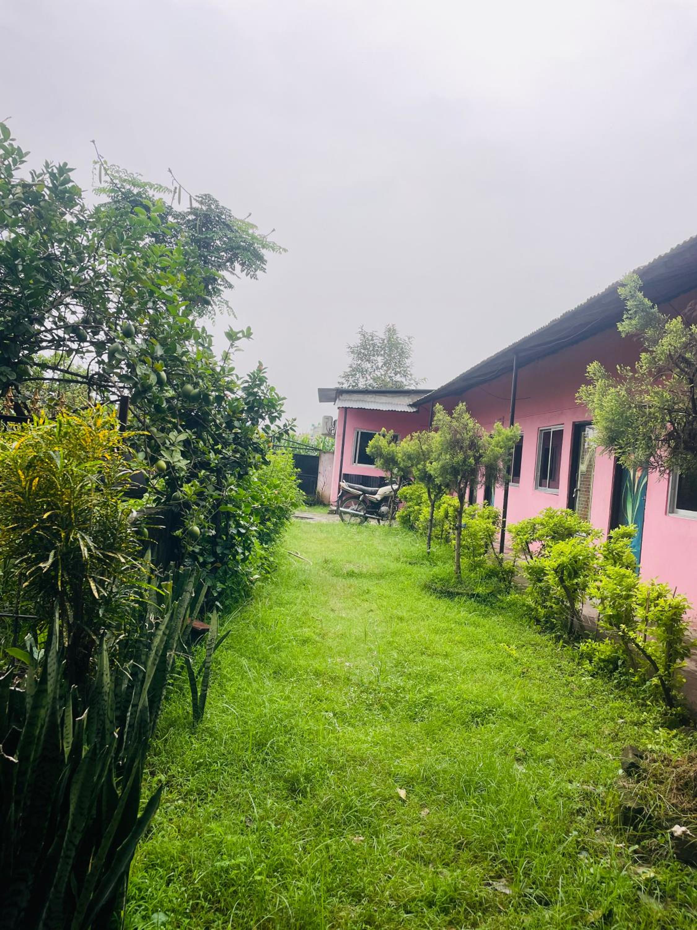 Loveinn
