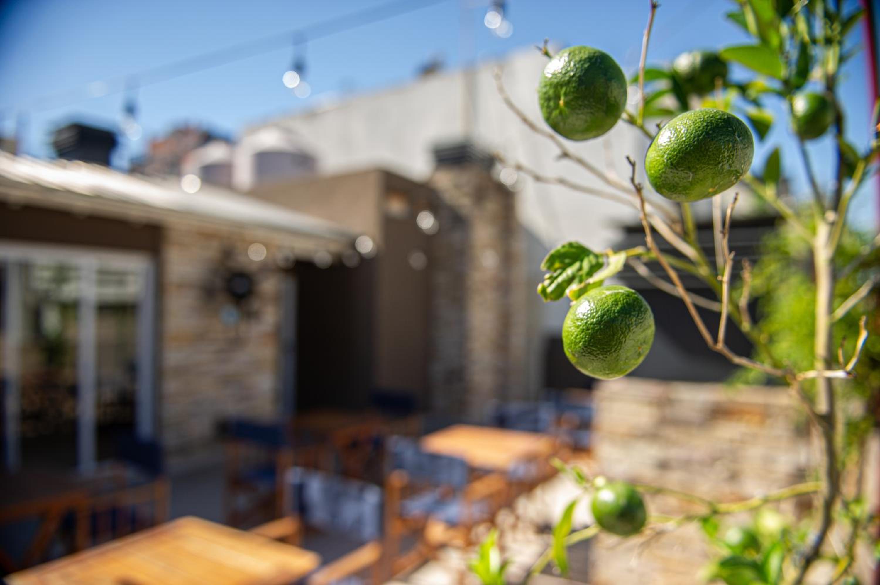 Hotel TPYN Beruti - Image 1