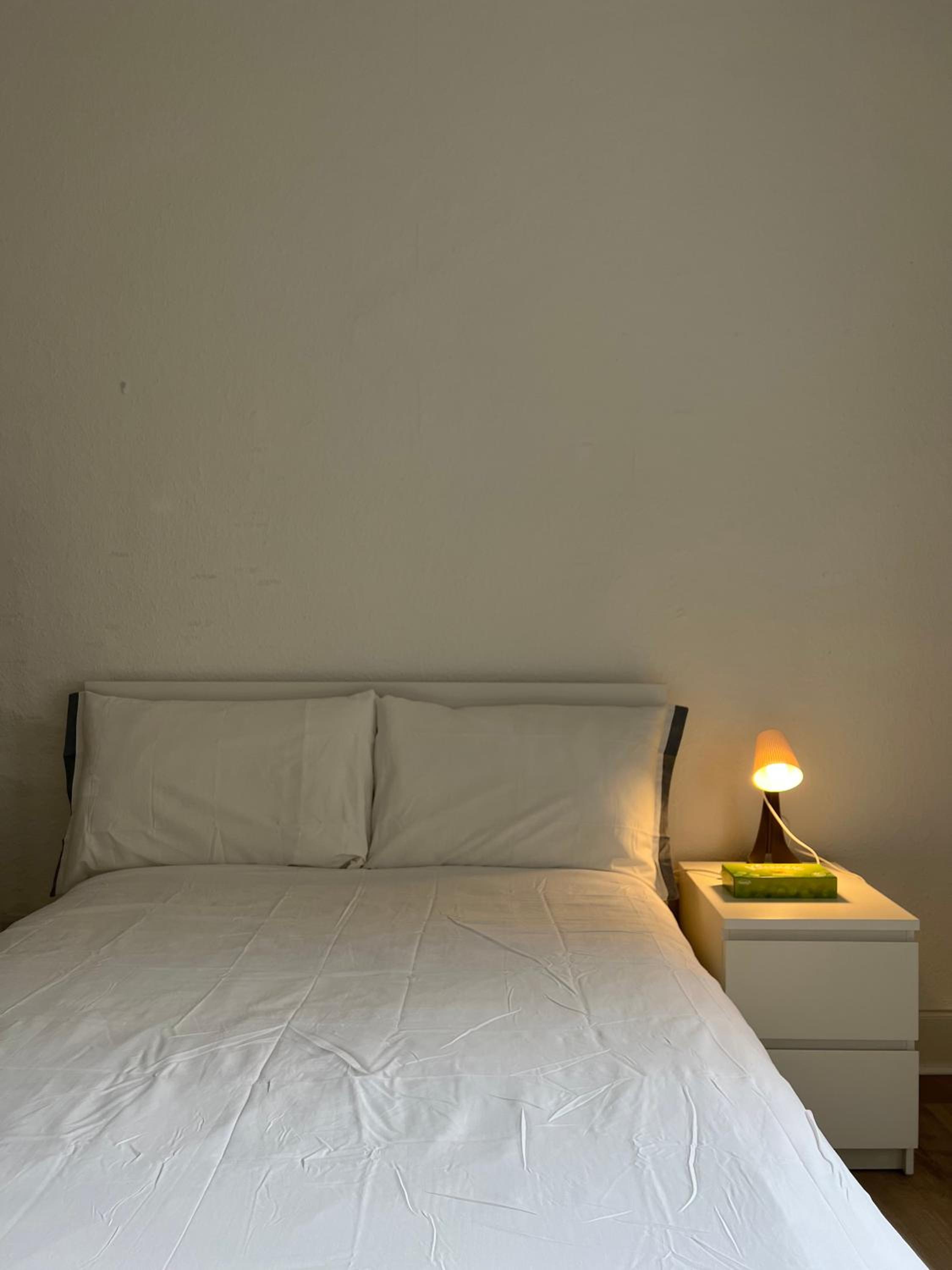 Spacious boutique two-bedroom apartment next to the castle