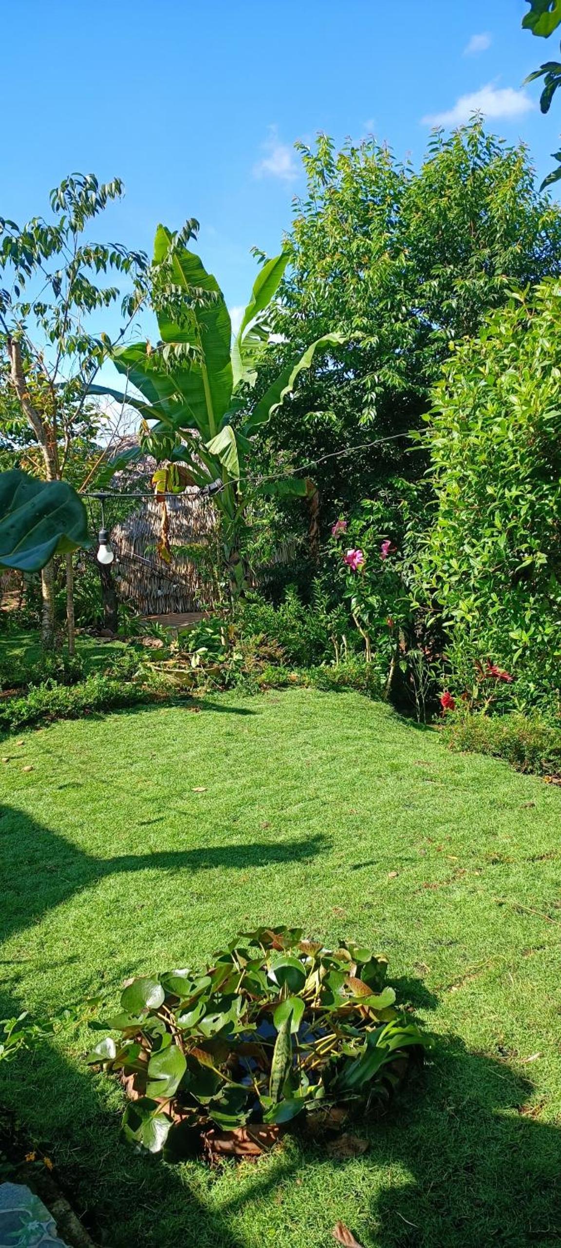 Natural Home Đà Lạt