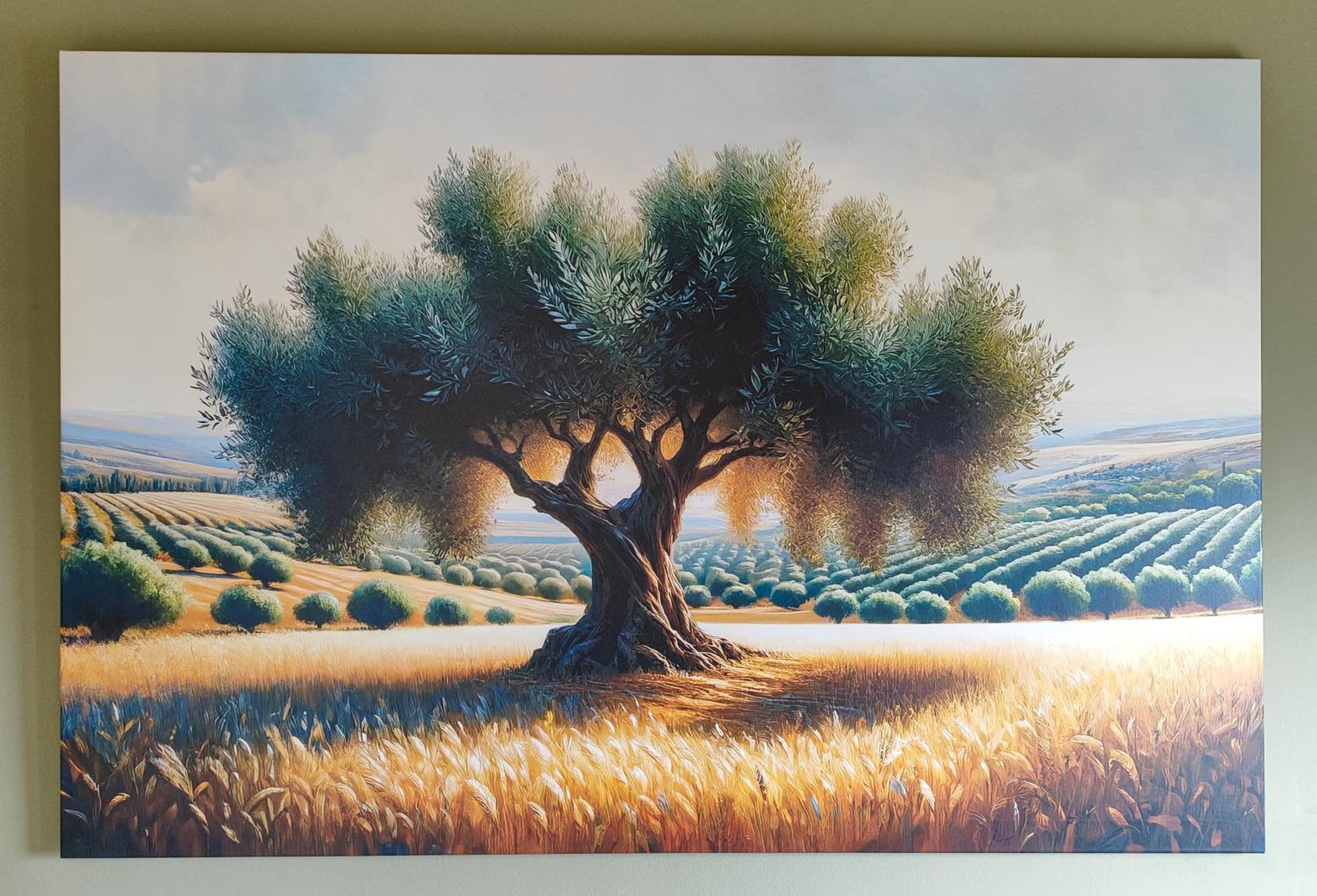 The Olive House view 3