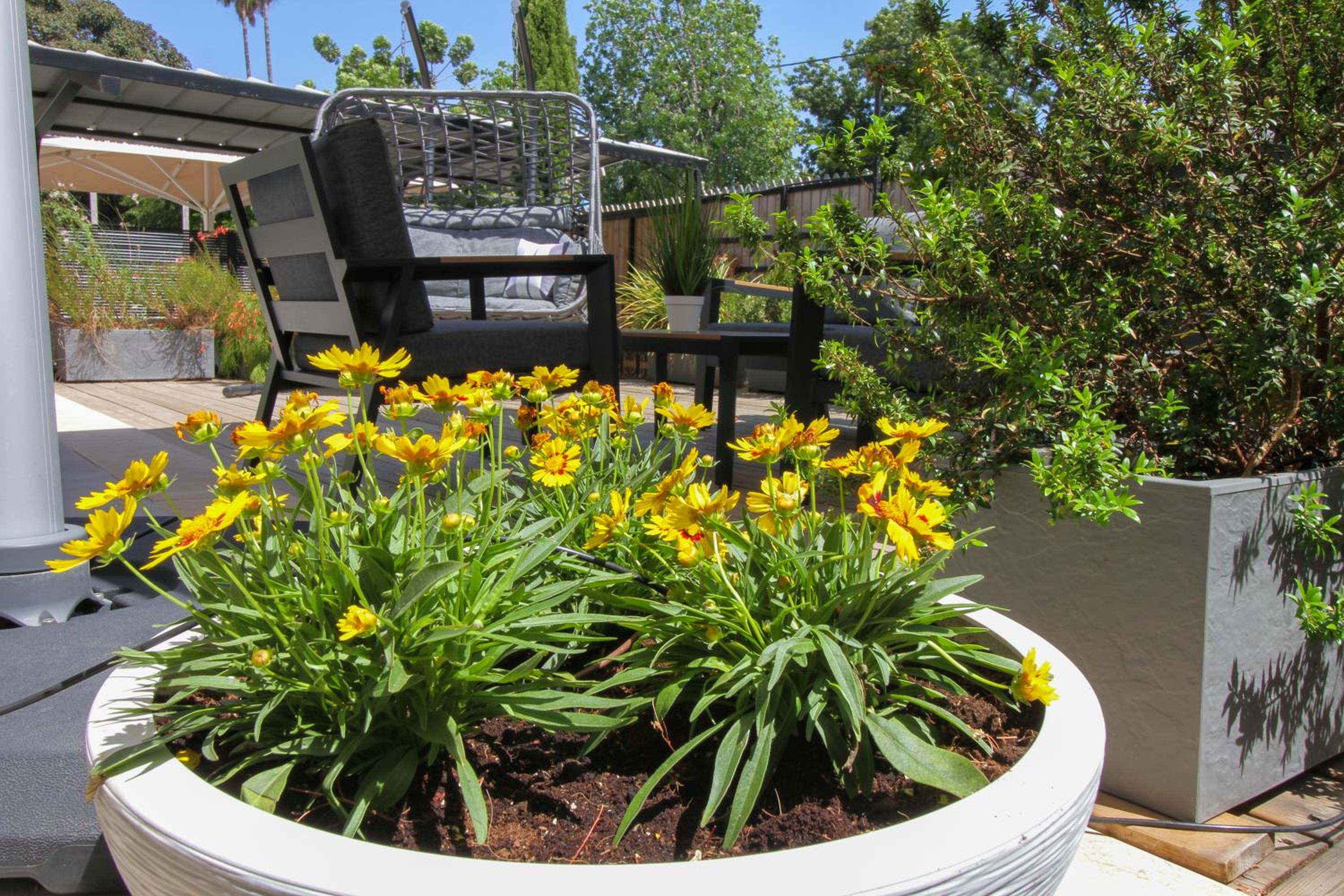 Villa Ono at Bar Ilan University and Sheba Hospital view 2
