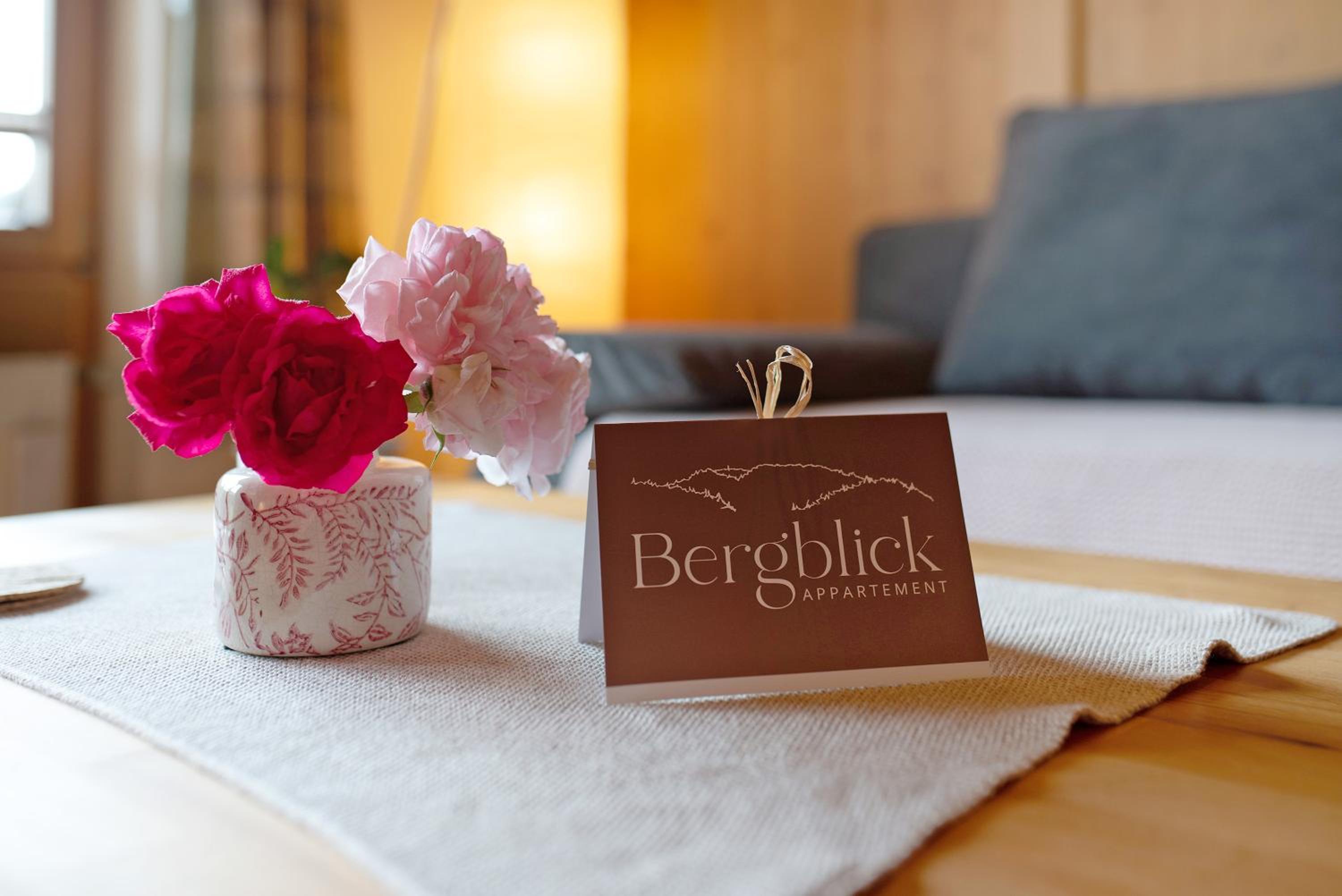 Appartment Bergblick