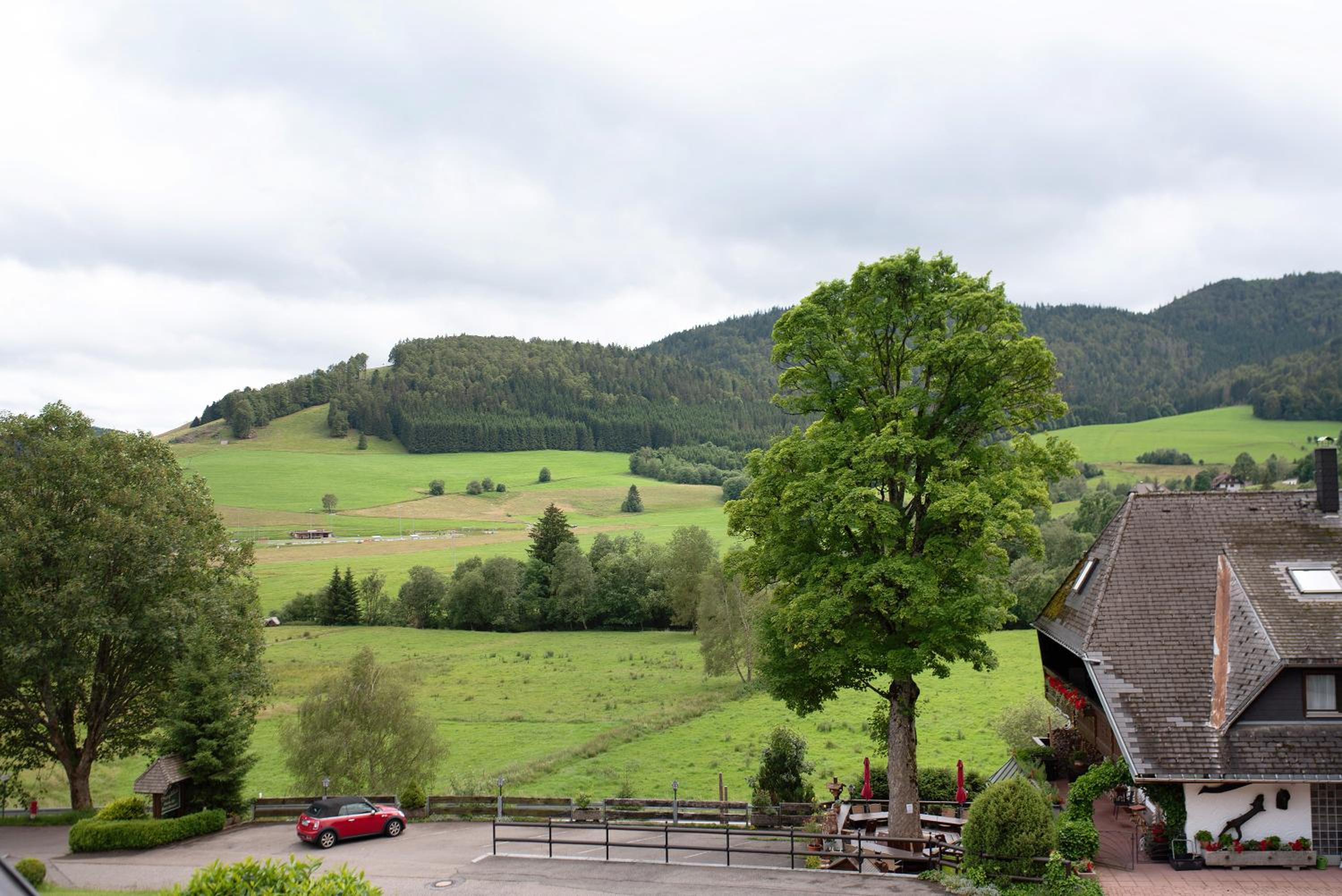 Appartment Bergblick