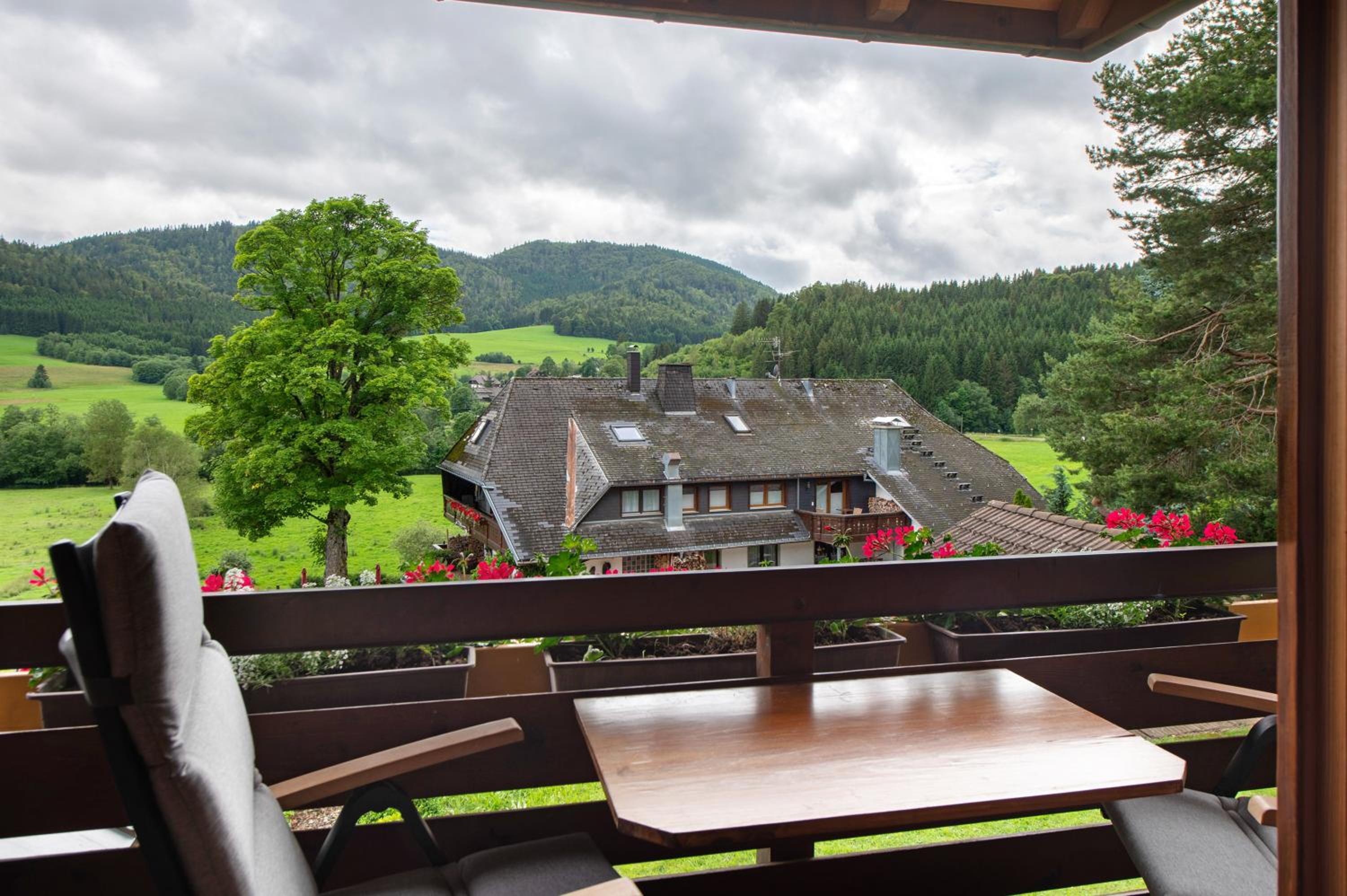 Appartment Bergblick