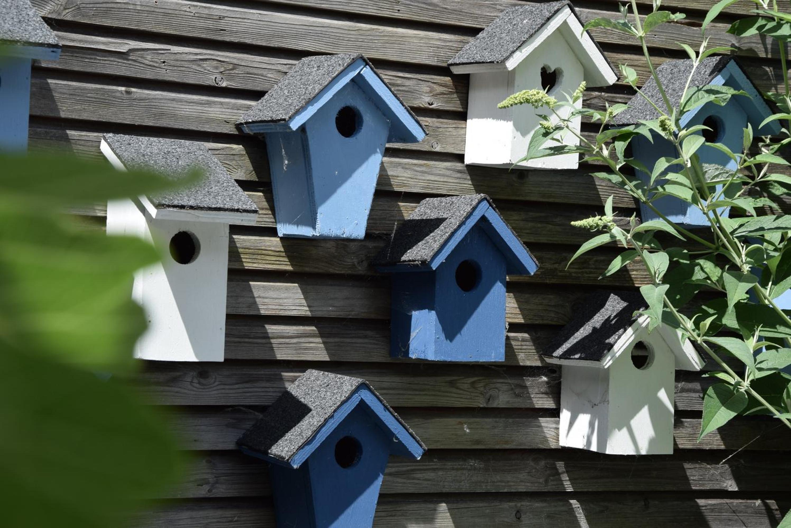 Villa Delfts