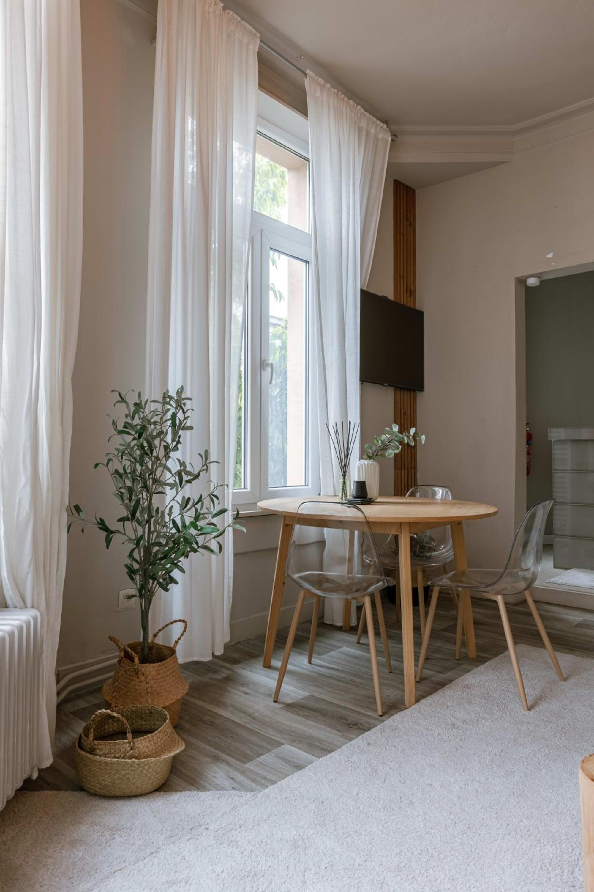 Cozy apartment in Antwerps vibrant shopping district, Pets are welcome