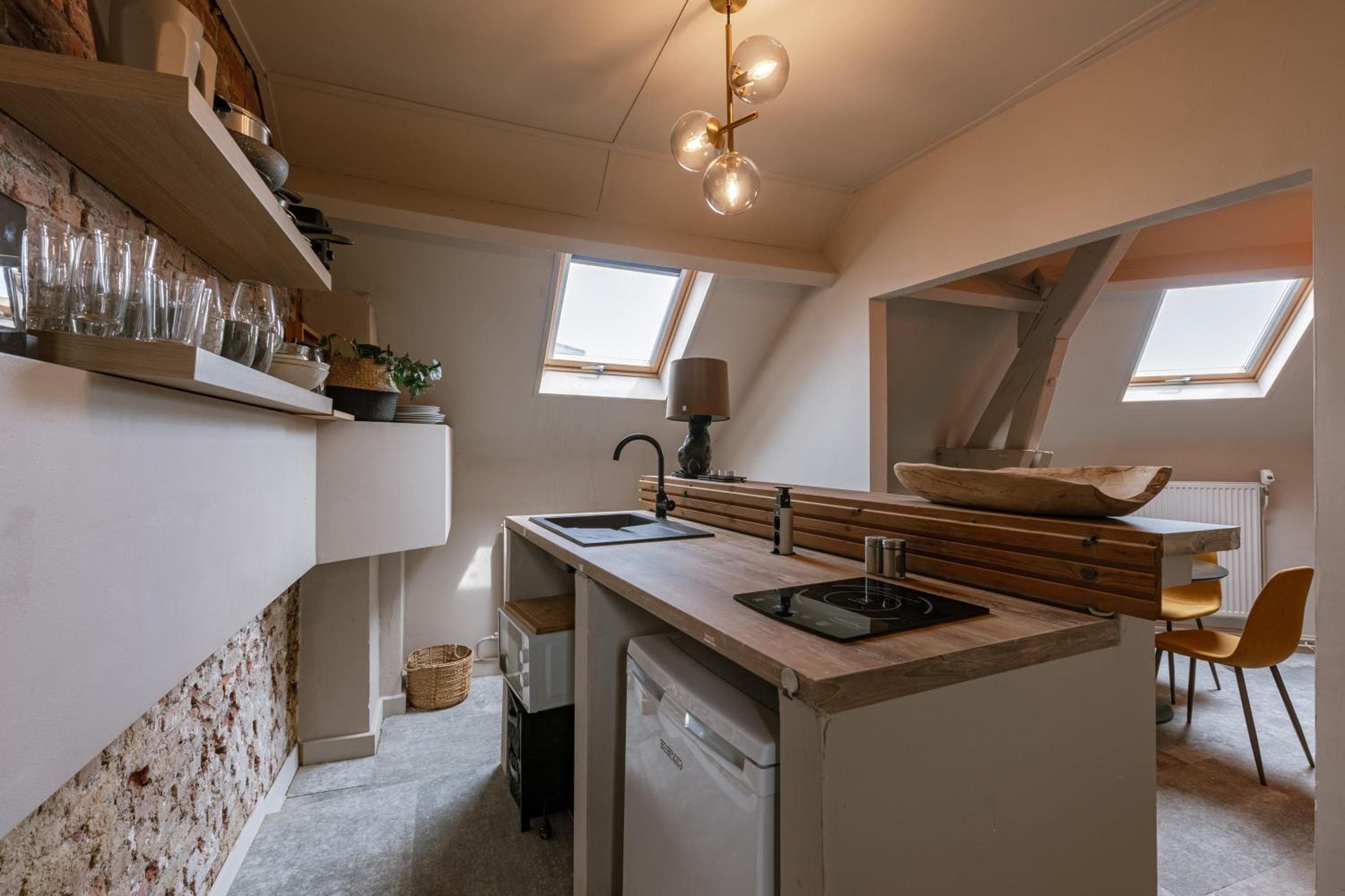 Chic rooftop apartment in Antwerp's shopping hub, pets are welcome