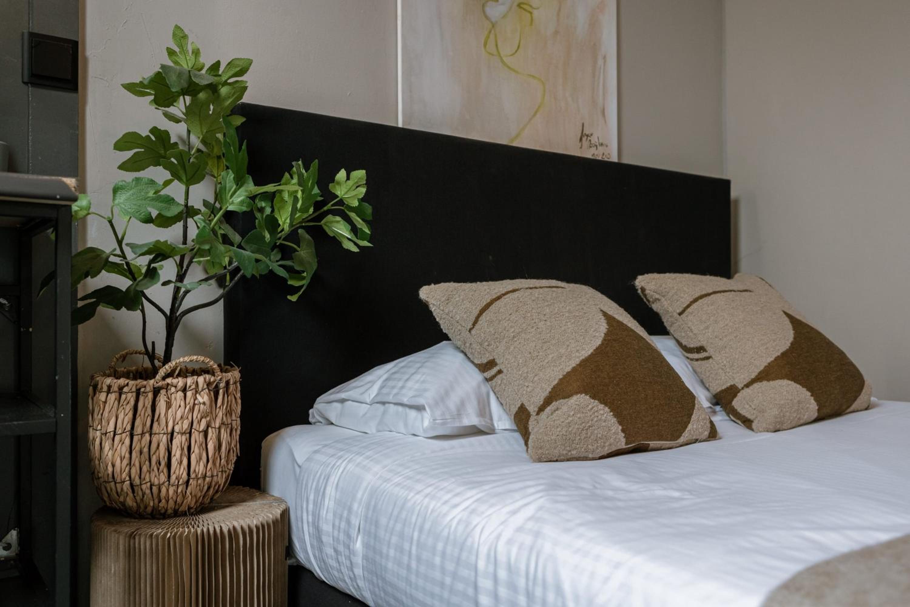 Chic rooftop apartment in Antwerp's shopping hub, pets are welcome