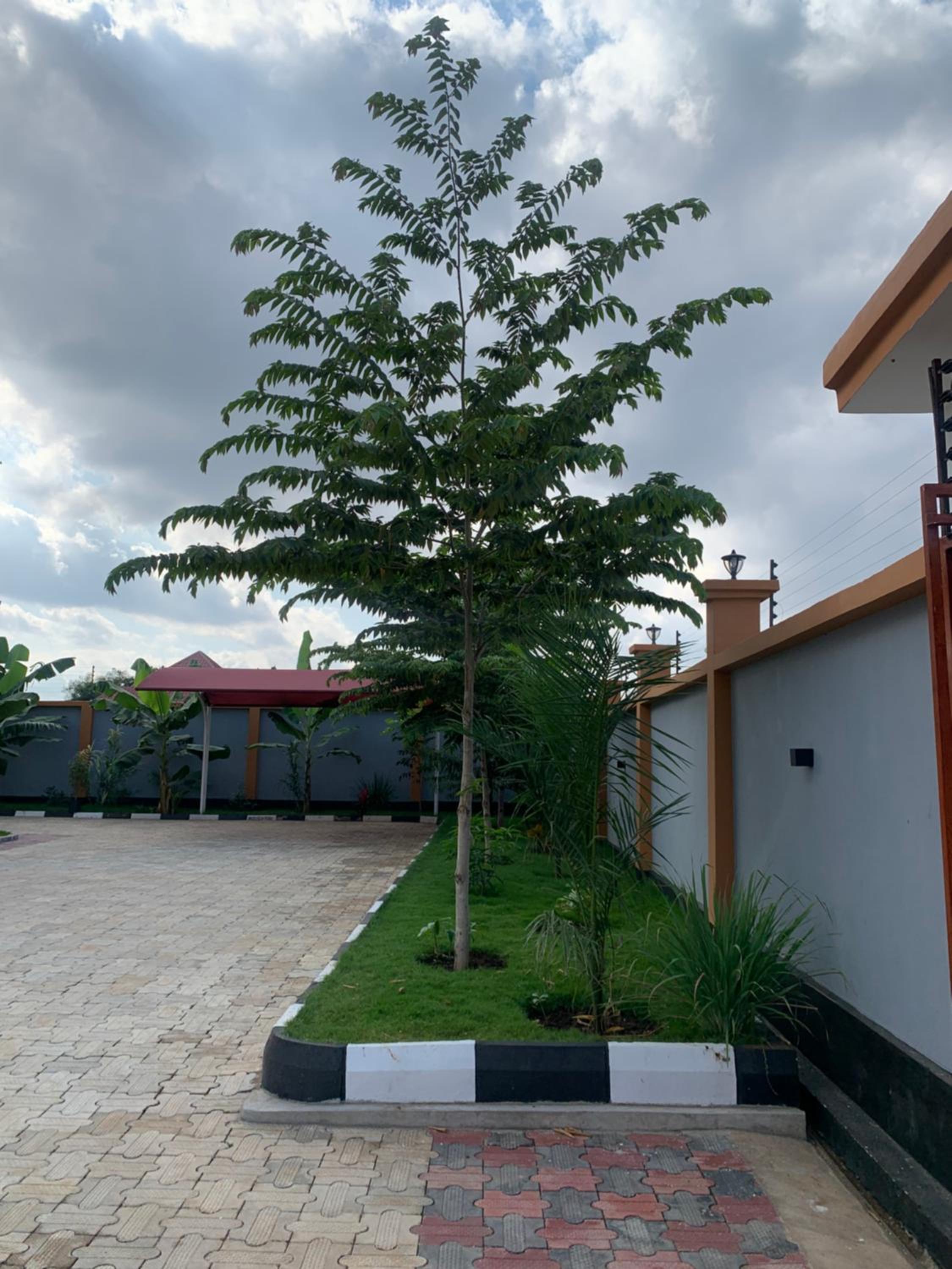 Lisprowl Homestay