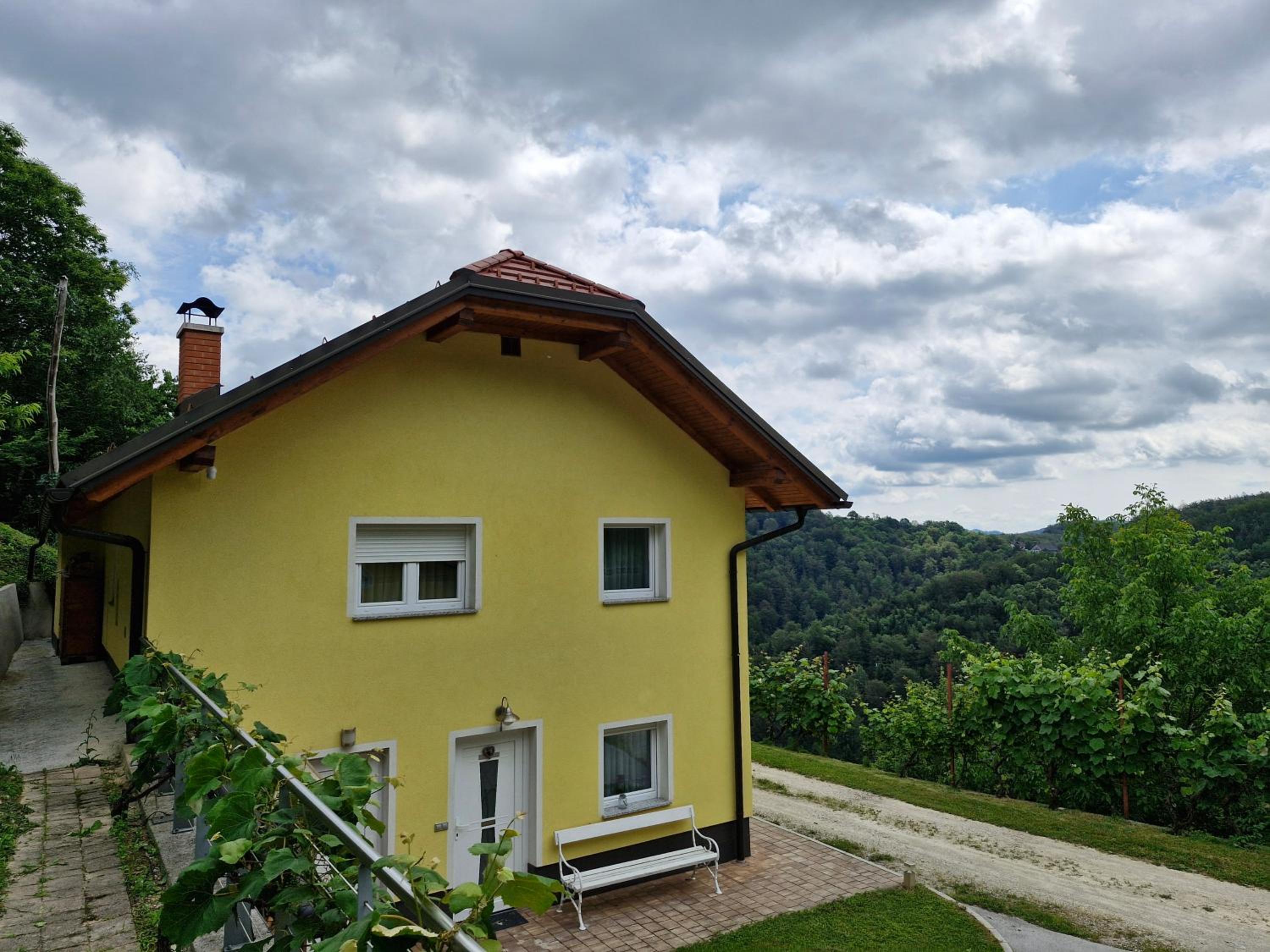 Yellow house Javornik