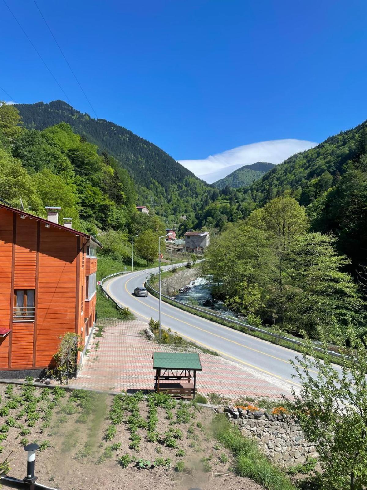THE WOODEN house view 3