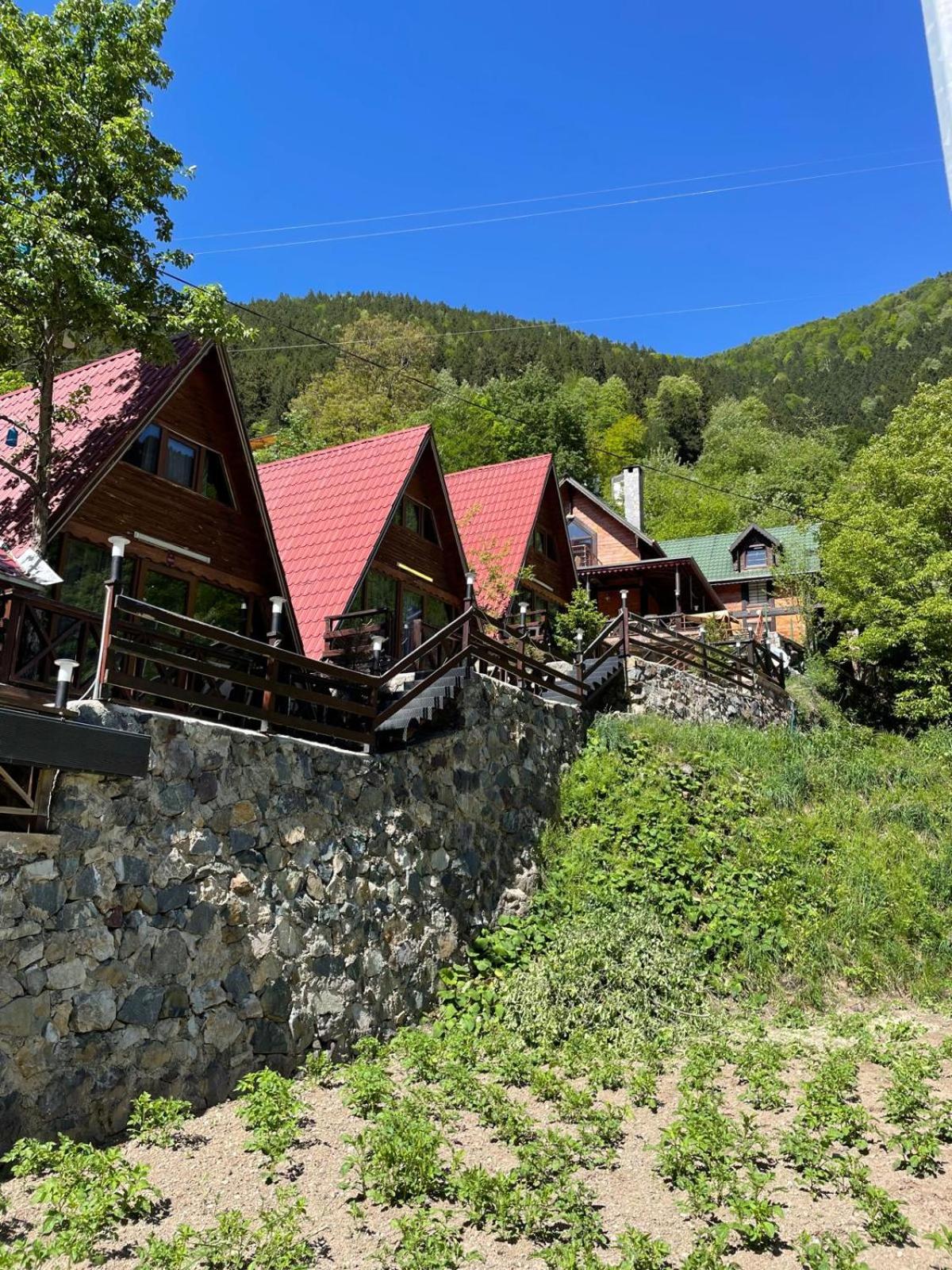 THE WOODEN house view 4