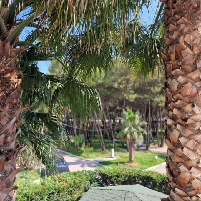 Villa Pearl Adriatic Coast